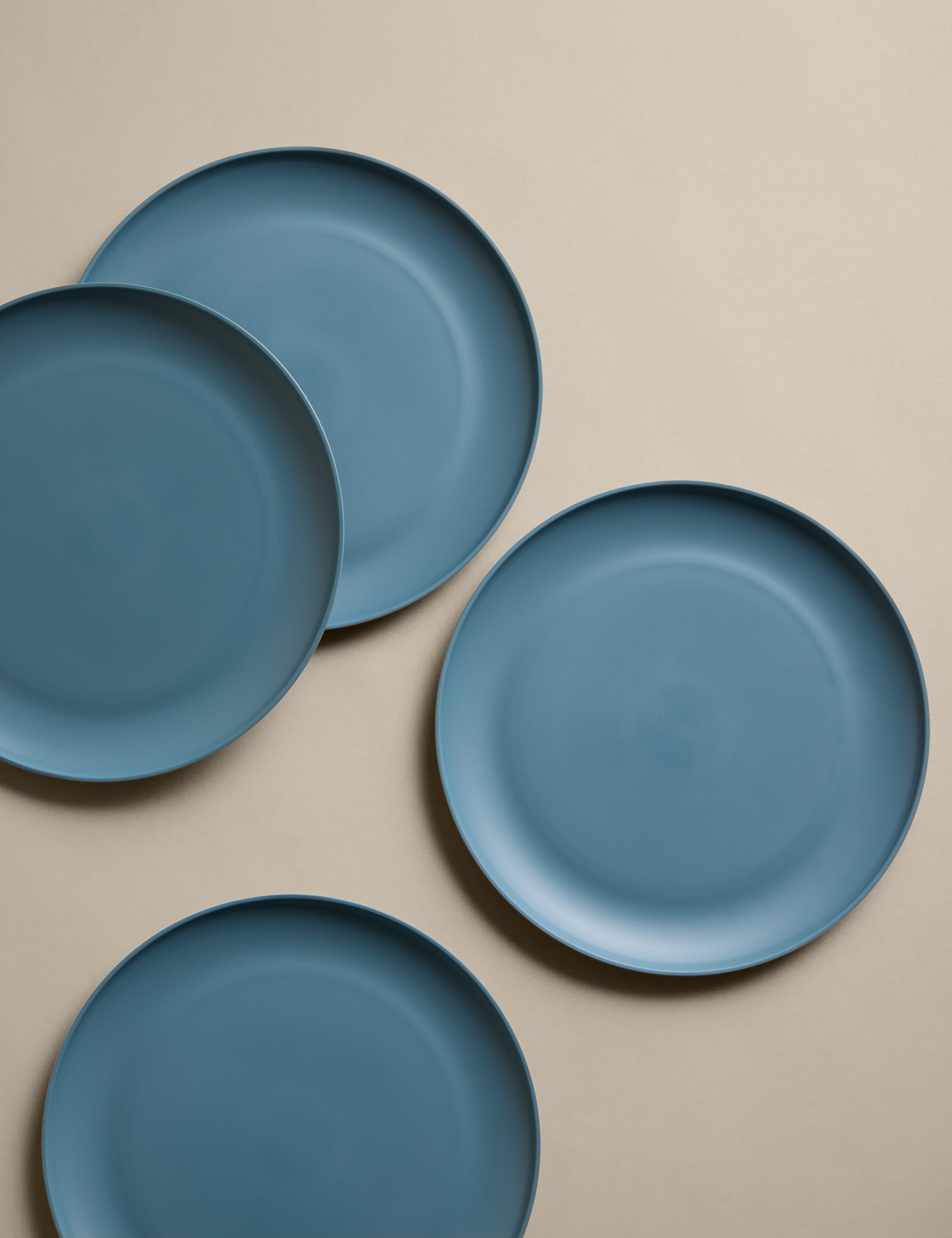 Set of 4 Picnic Dinner Plates 3 of 5