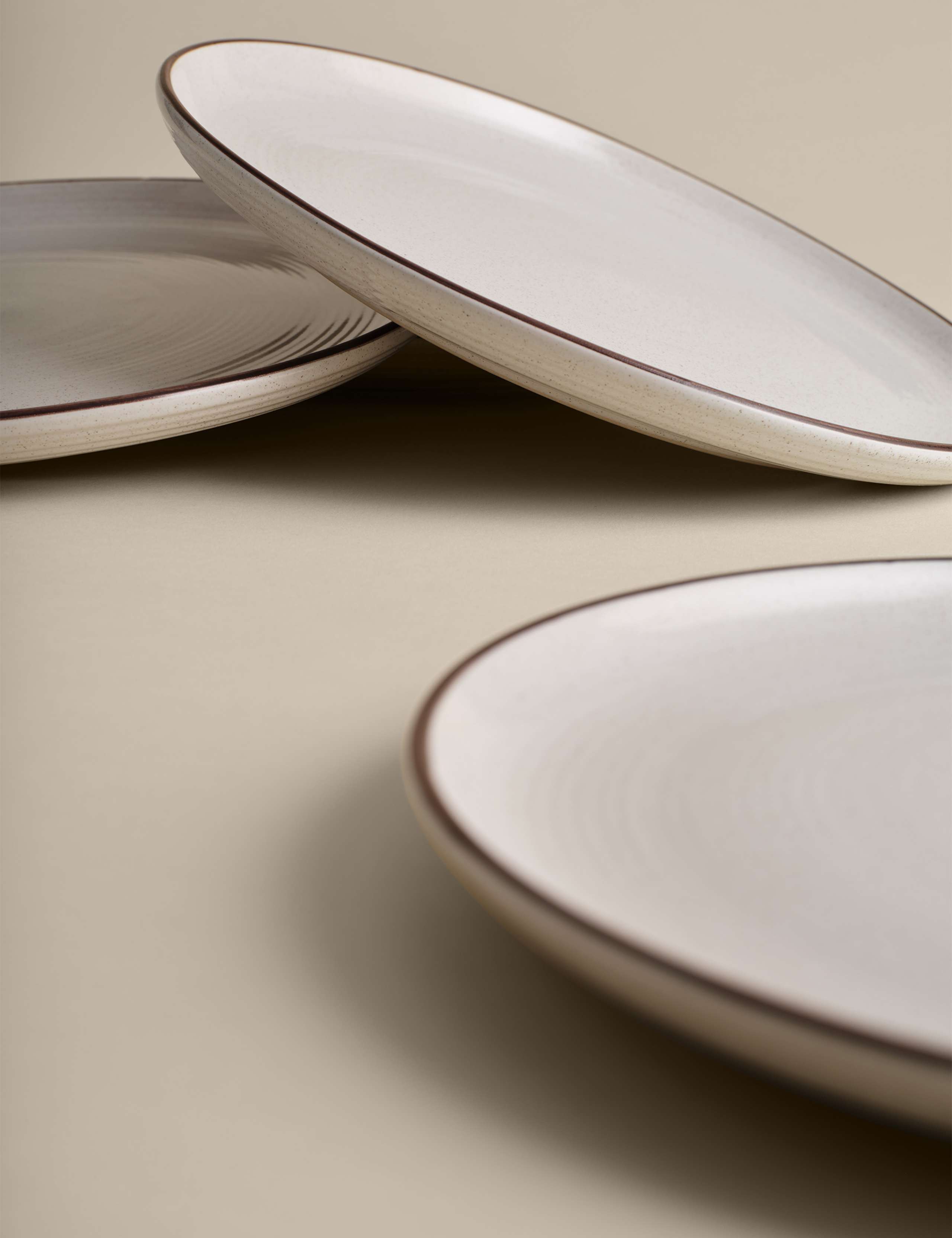 Set of 4 Michigan Rim Dinner Plates 3 of 4