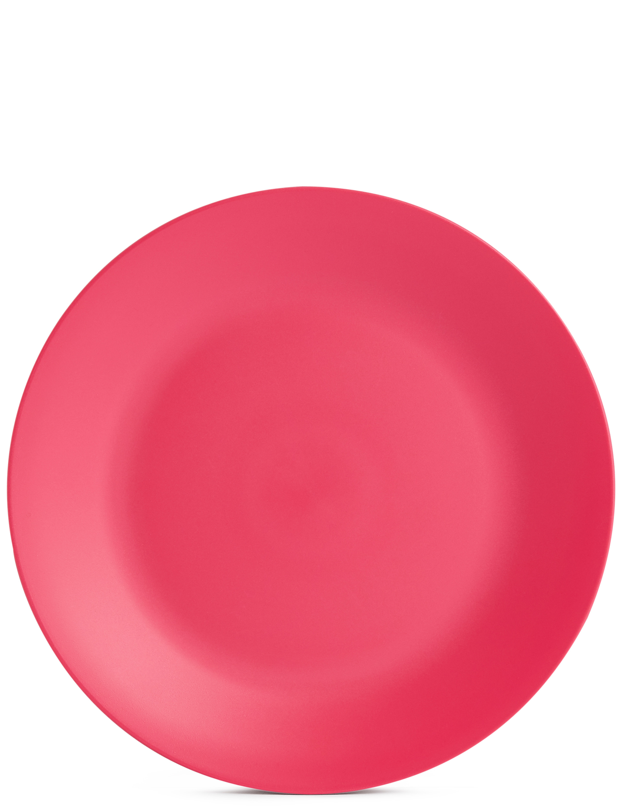 Set of 6 Picnic Plates 3 of 8