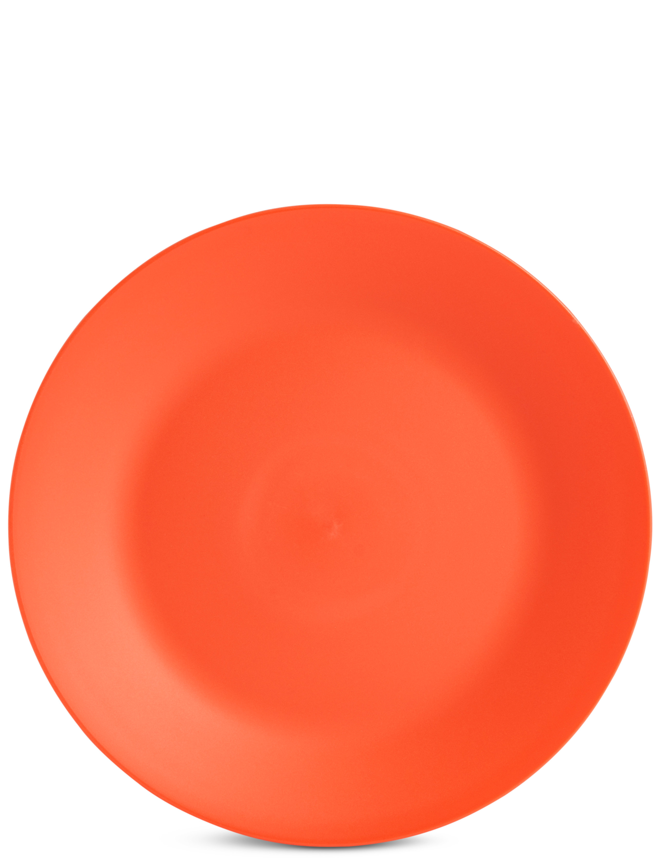 Set of 6 Picnic Plates 5 of 8