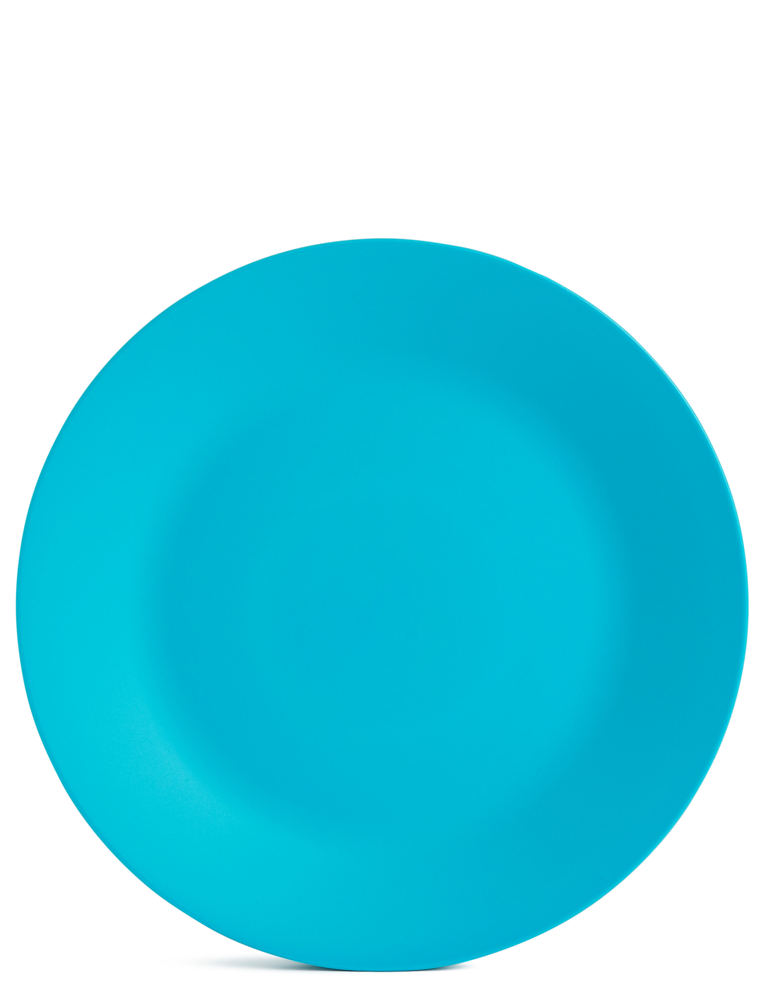 Set of 6 Picnic Plates 7 of 8