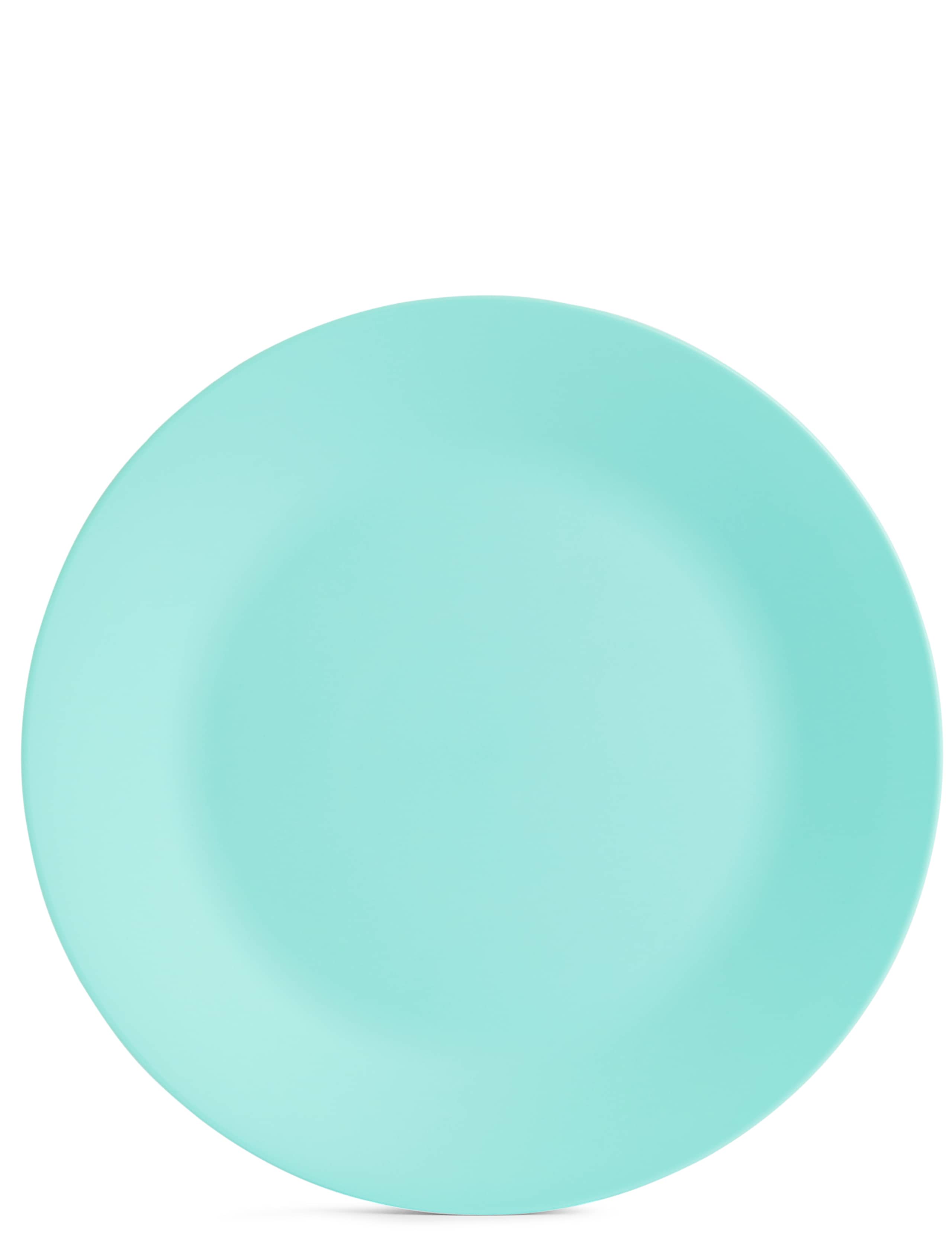Set of 6 Picnic Plates 8 of 8