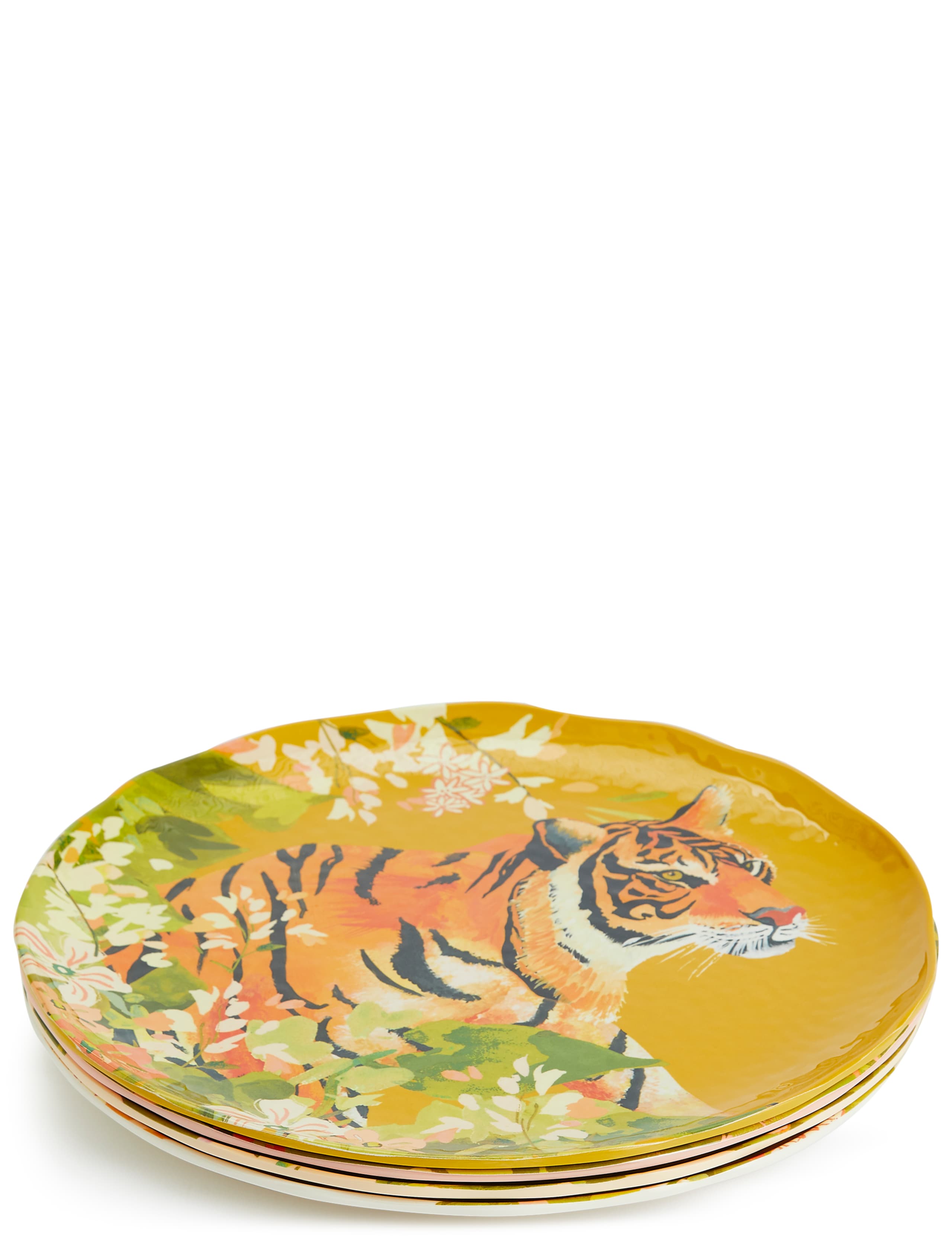 Set of 4 Sun-baked Dinner Plates 2 of 8