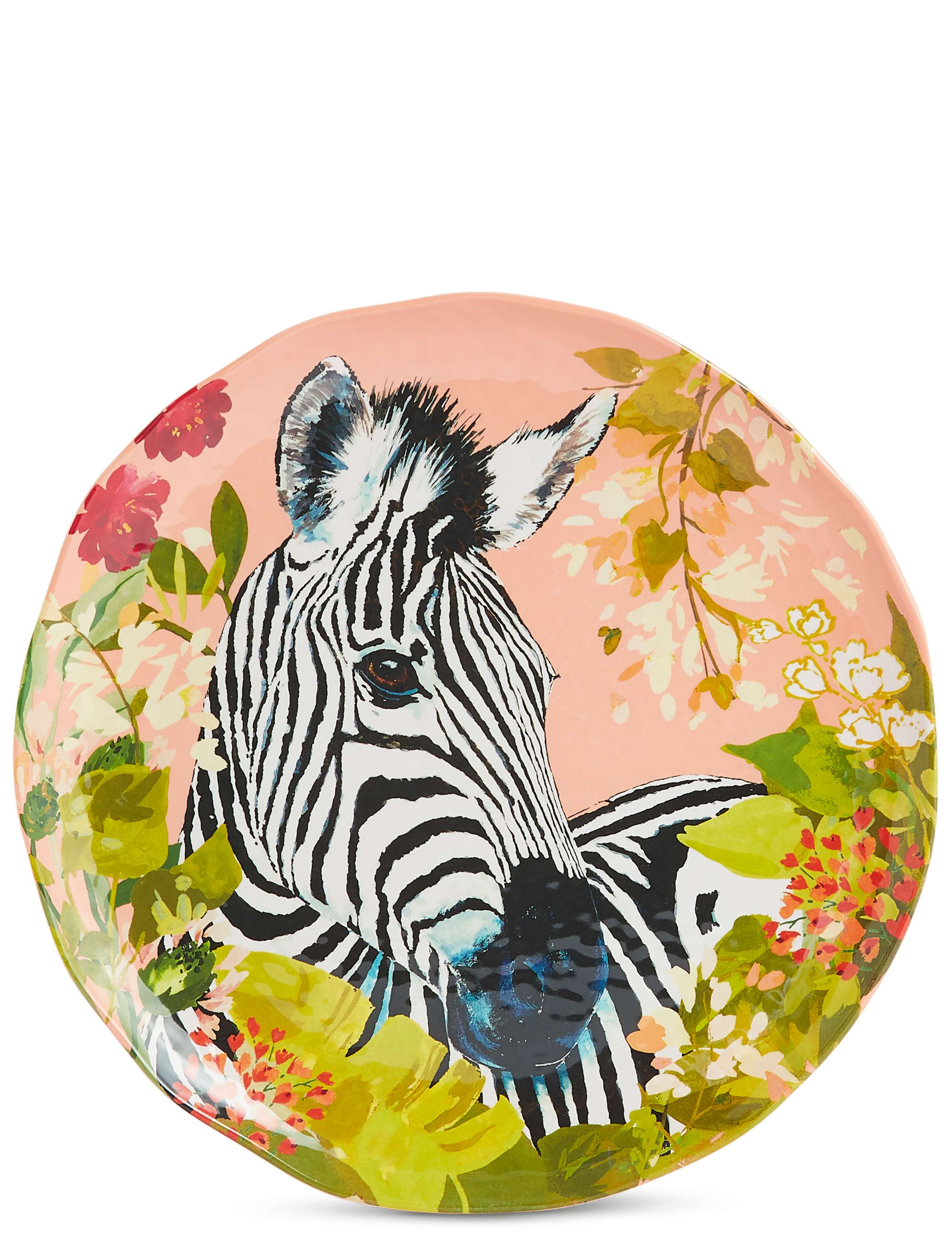 Set of 4 Sun-baked Dinner Plates 4 of 8