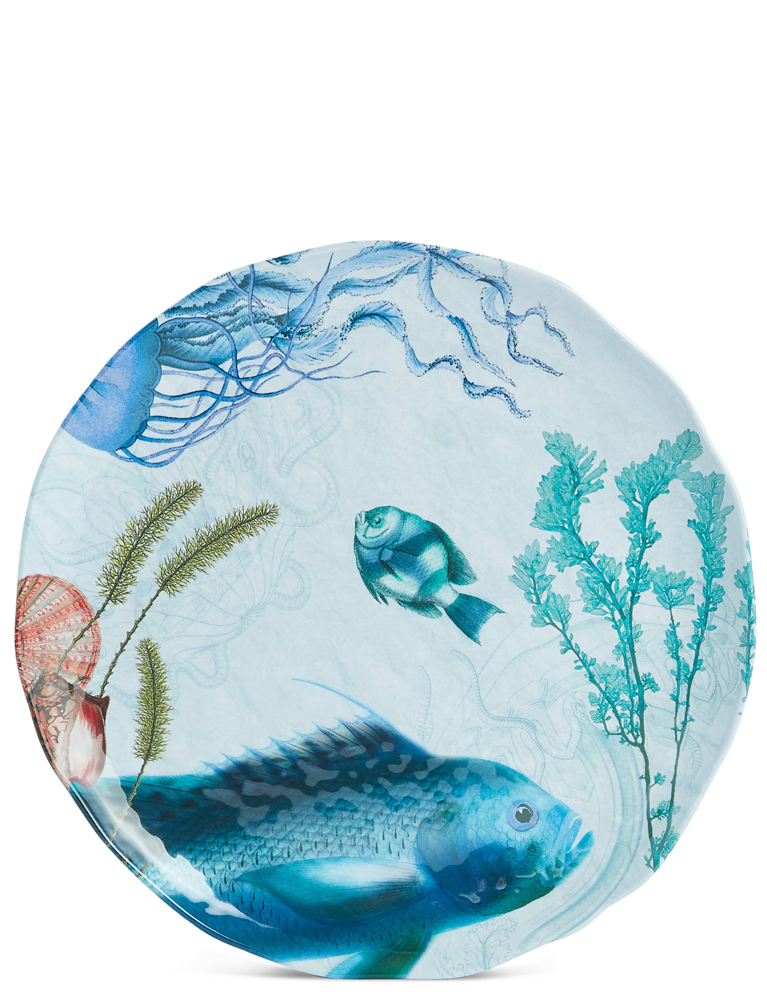 Set of 4 Nautical Dinner Plates 4 of 7