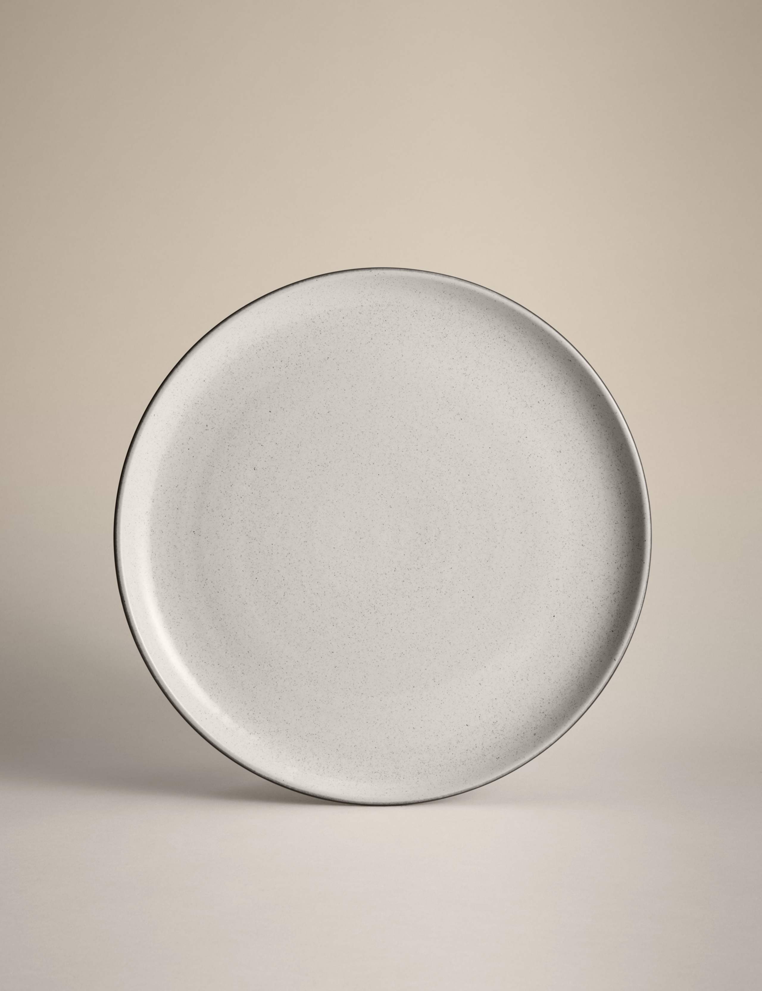 Set of 4 Michigan Dinner Plates 2 of 5