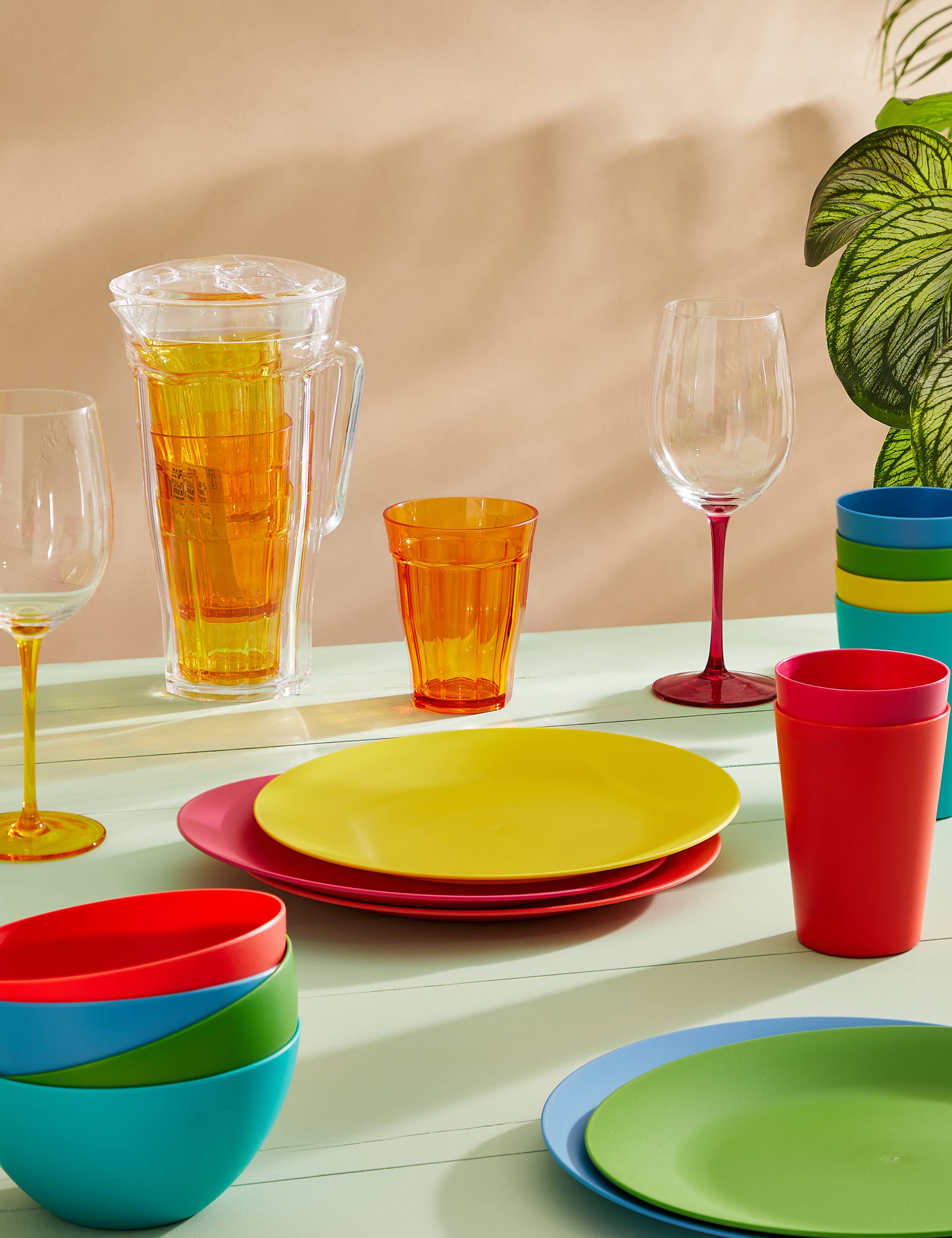 Set of 6 Picnic Plates 4 of 4