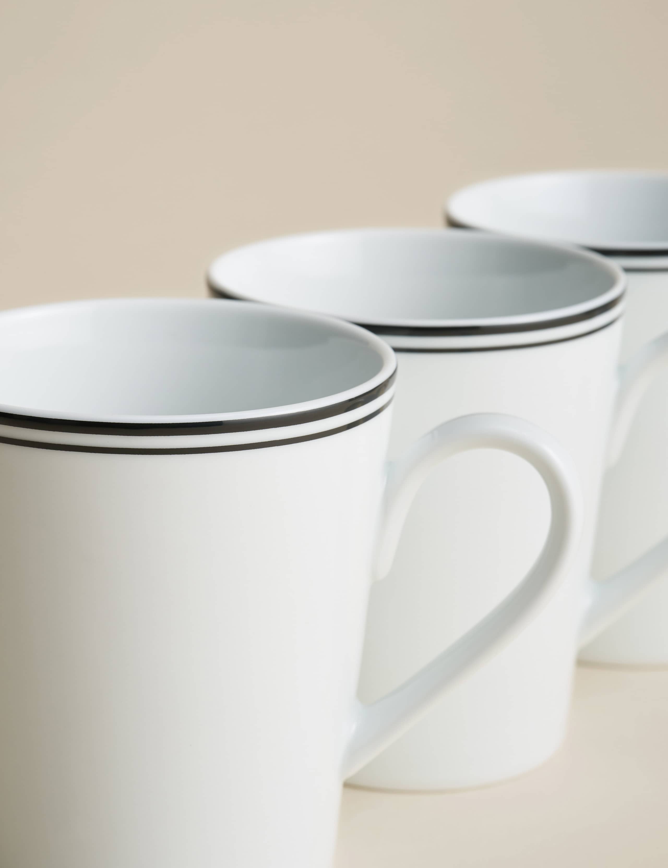 Set of 4 Maxim Rim Mugs 3 of 3