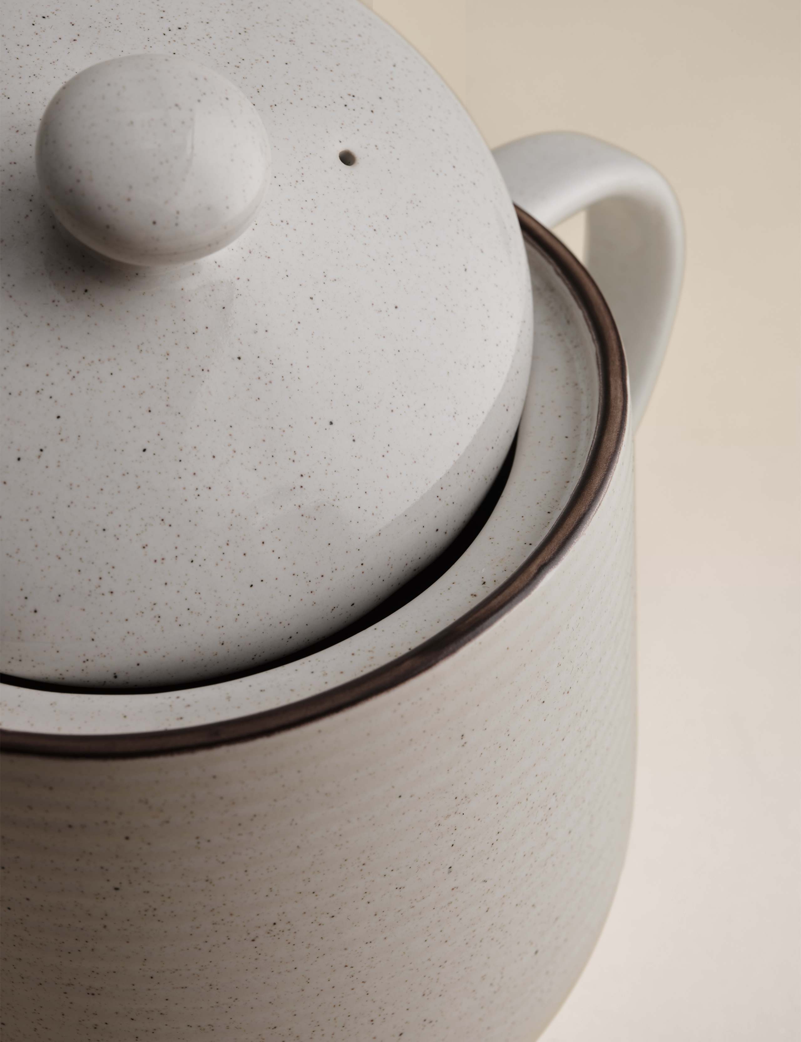 Michigan Teapot 5 of 5