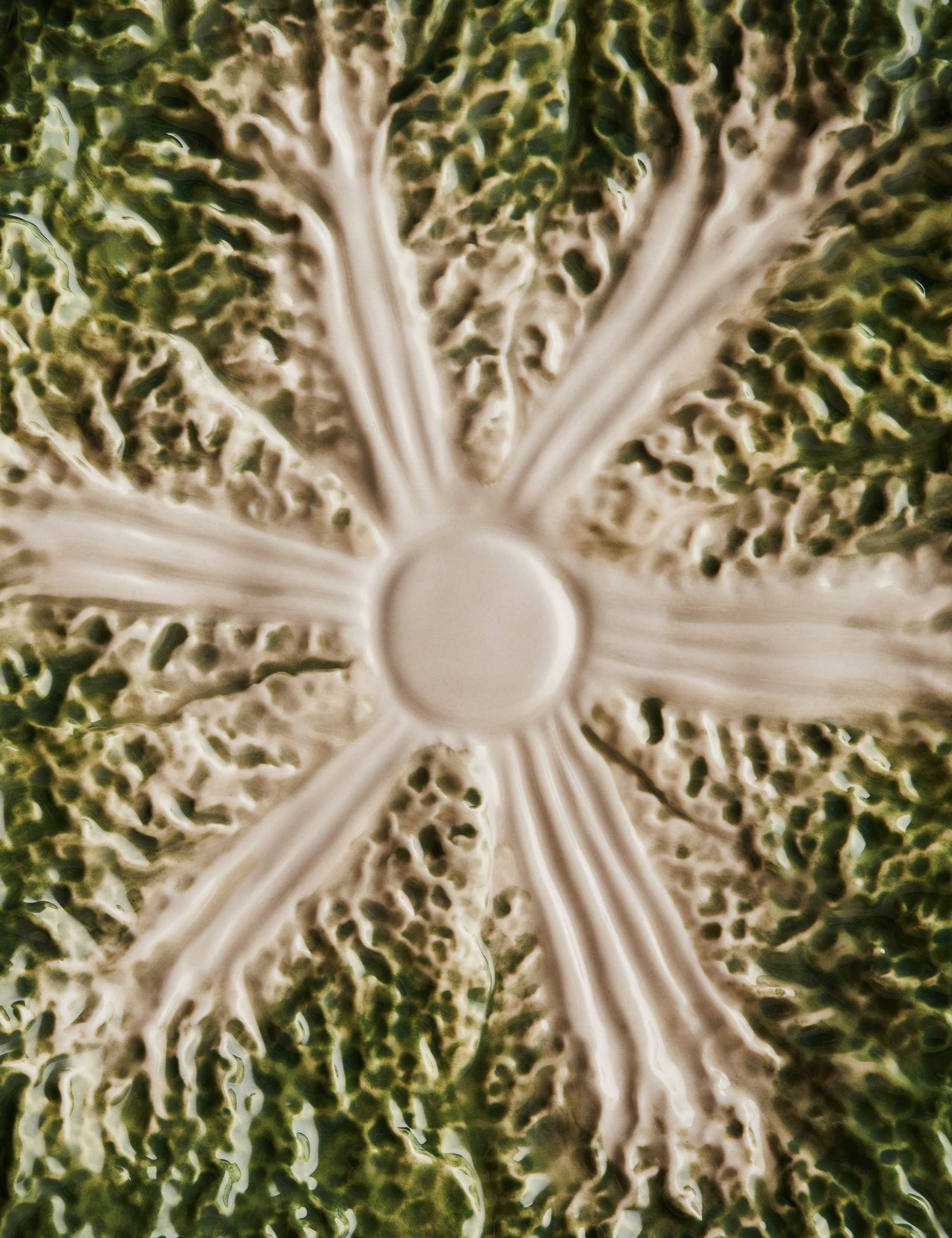 Cabbage Plate 4 of 5