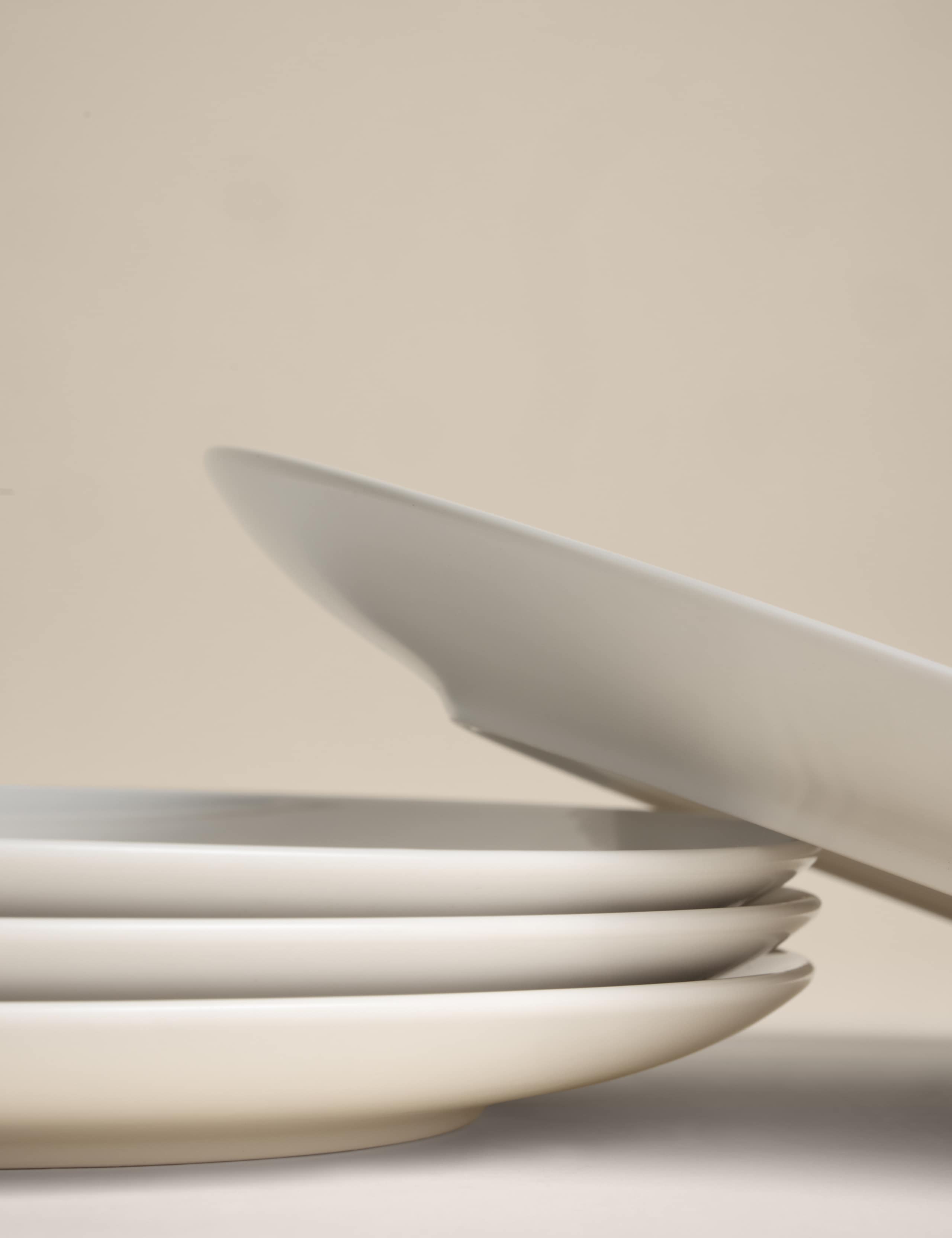 Set of 4 Everyday Dinner Plates 2 of 5