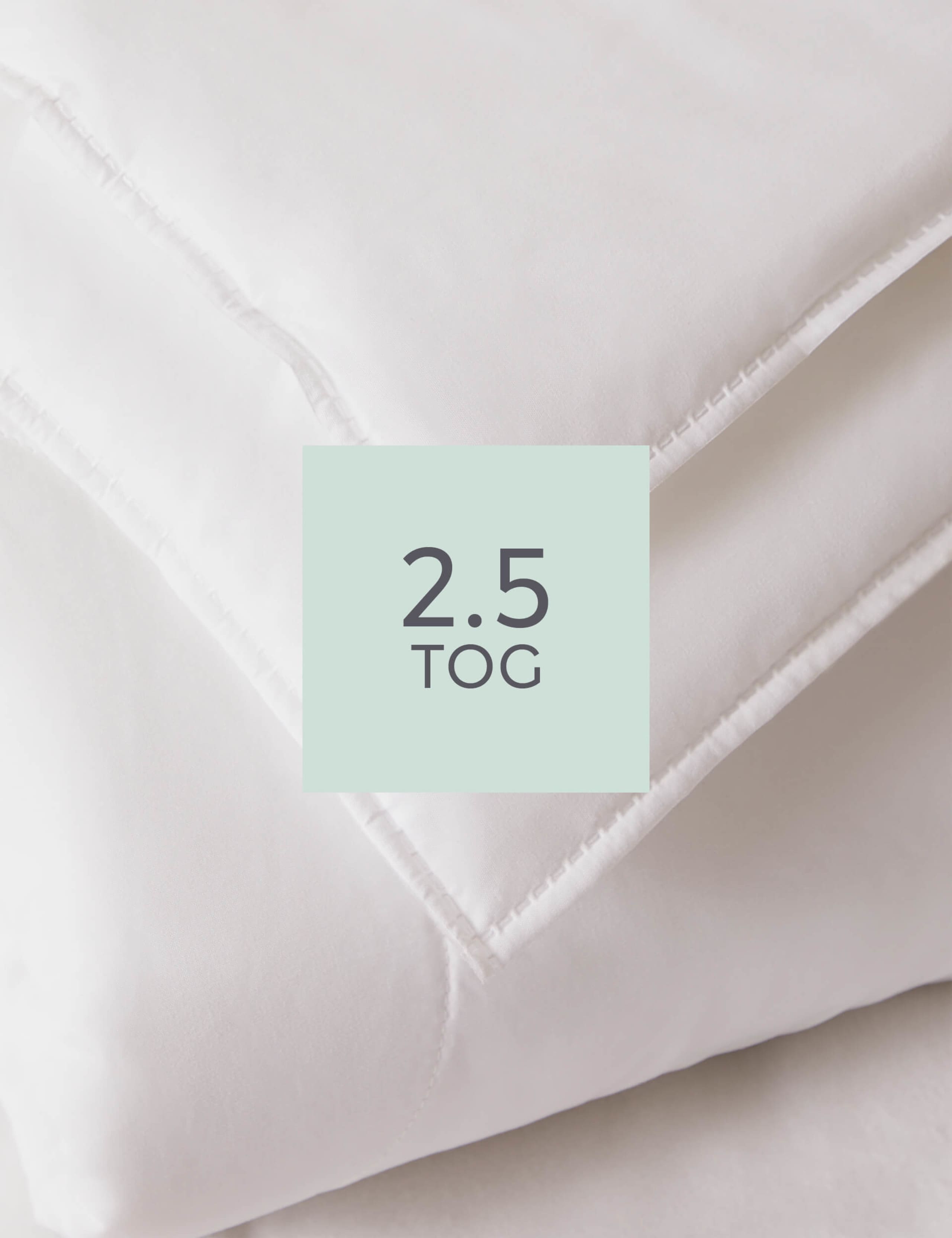 Anti Allergy Plus 2.5 Tog Duvet 2 of 3