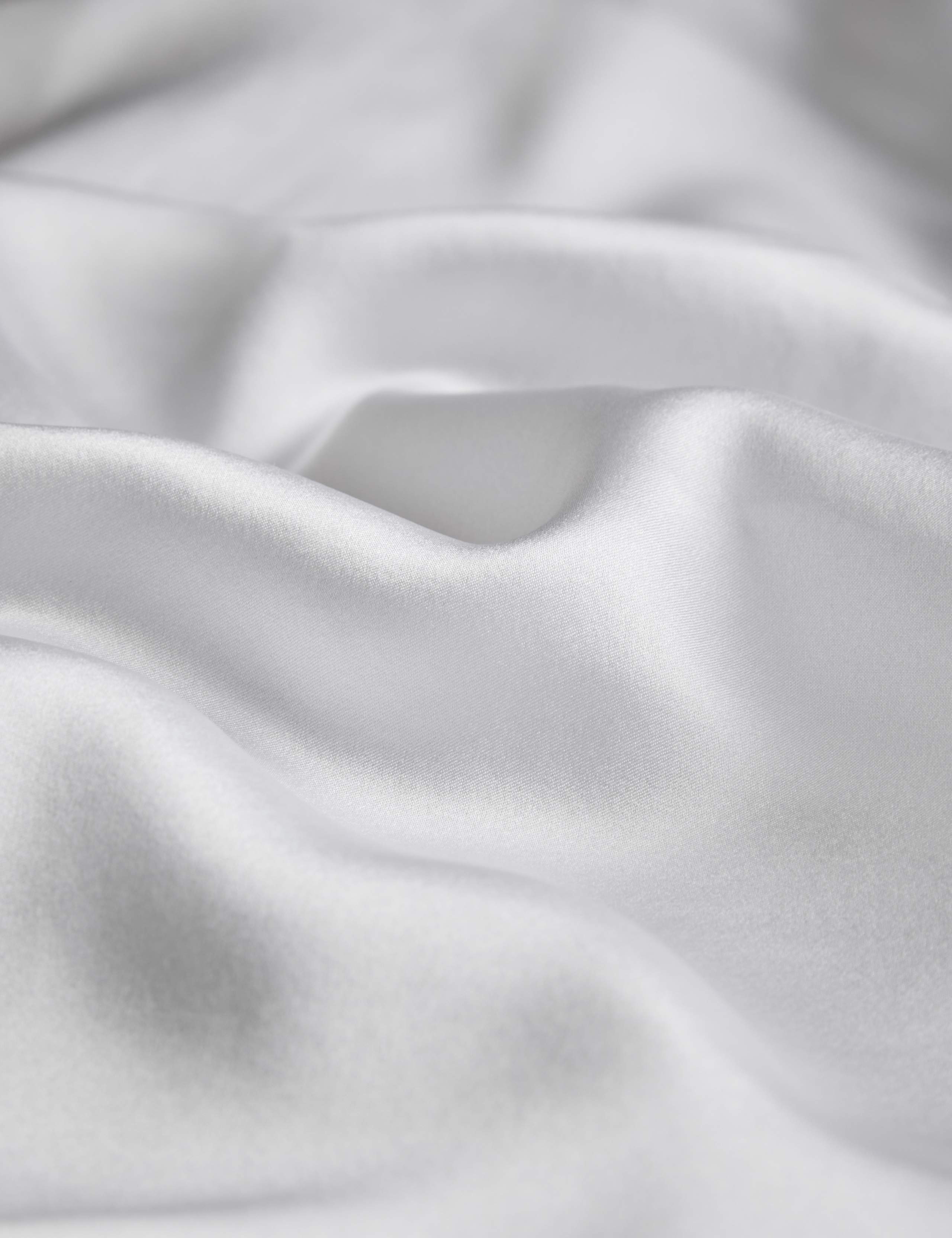 Pure Mulberry Silk King Size Pillowcase 3 of 6