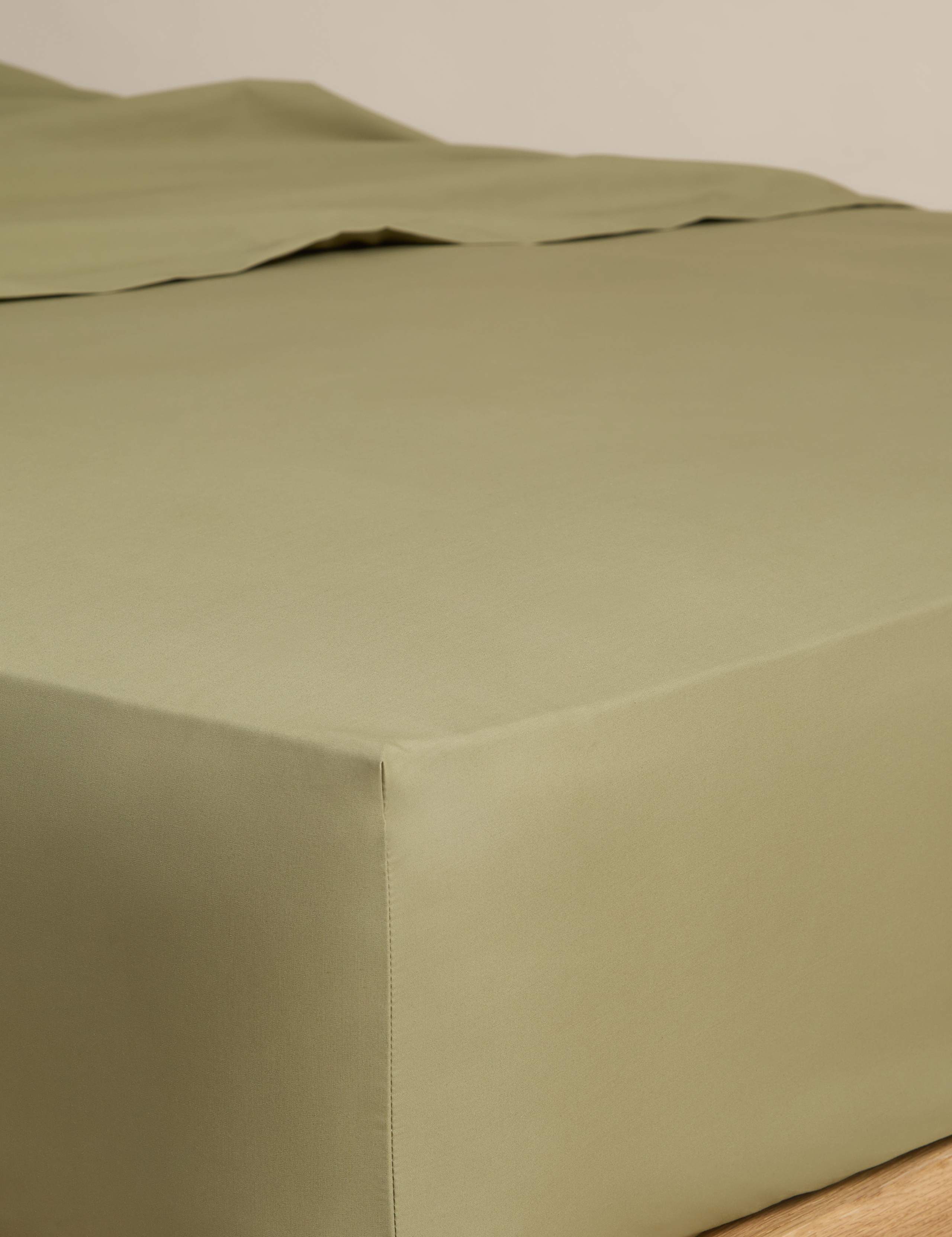 Egyptian Cotton 230 Thread Count Fitted Sheet 1 of 2
