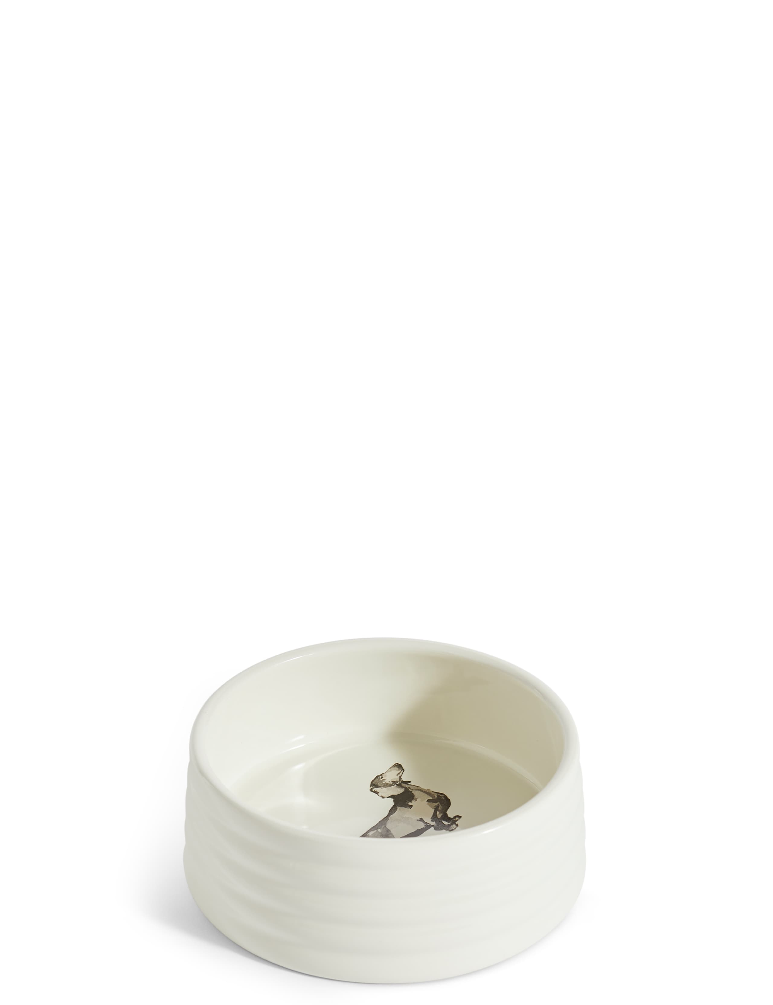 Dog Bowl 2 of 3