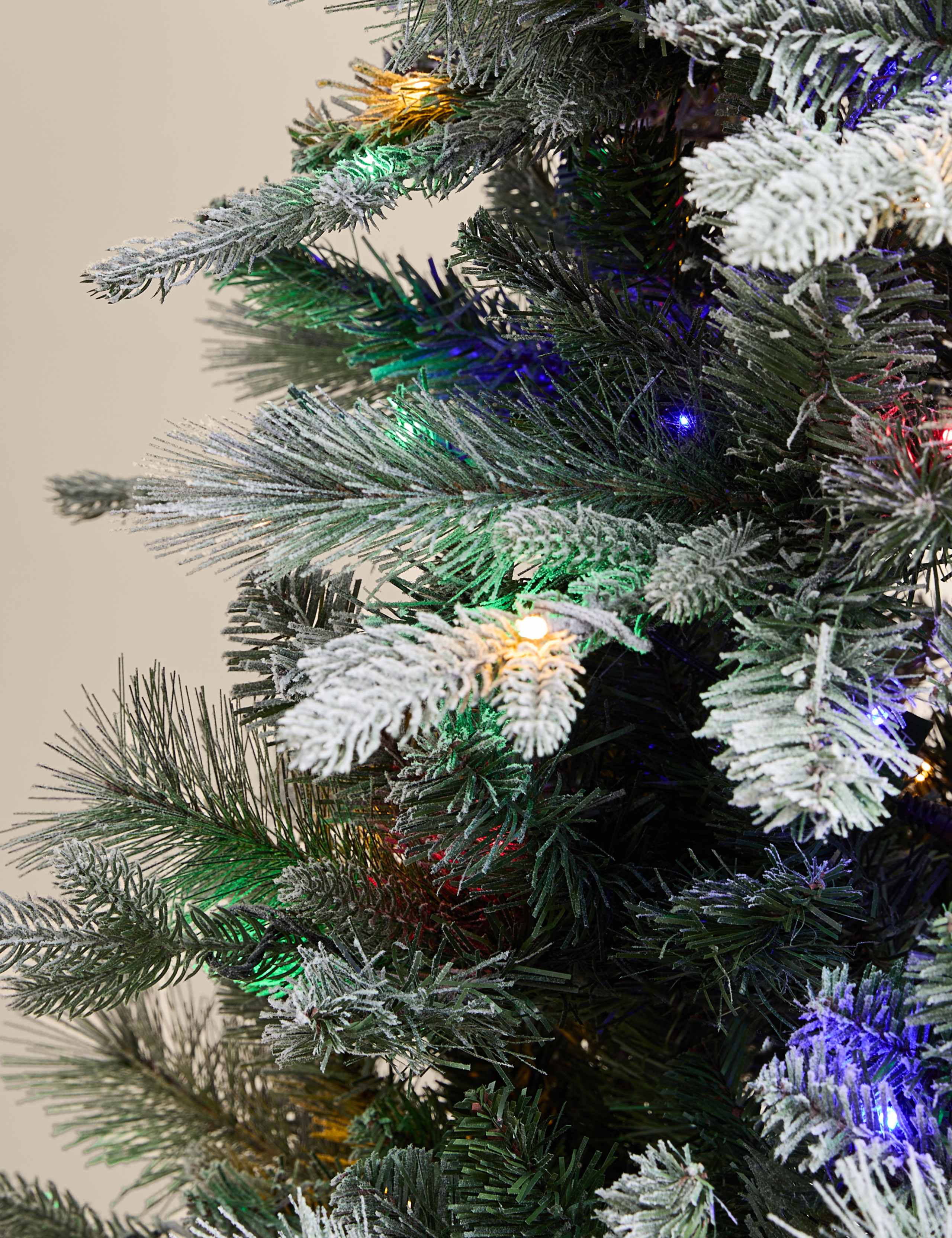 6ft Pre-Lit Snowy Monterey and Scots Pine Christmas Tree 4 of 6