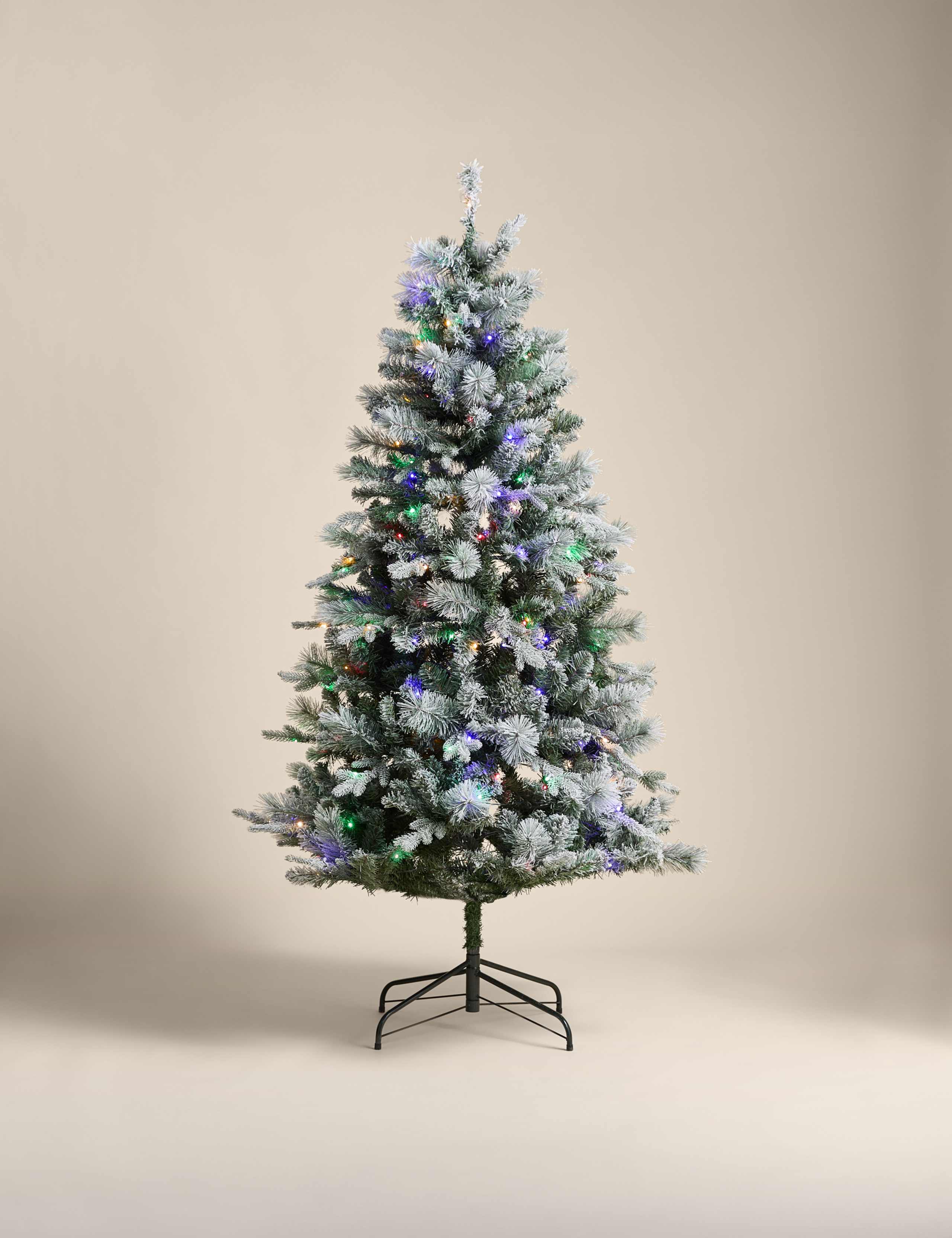 6ft Pre-Lit Snowy Monterey and Scots Pine Christmas Tree 5 of 6
