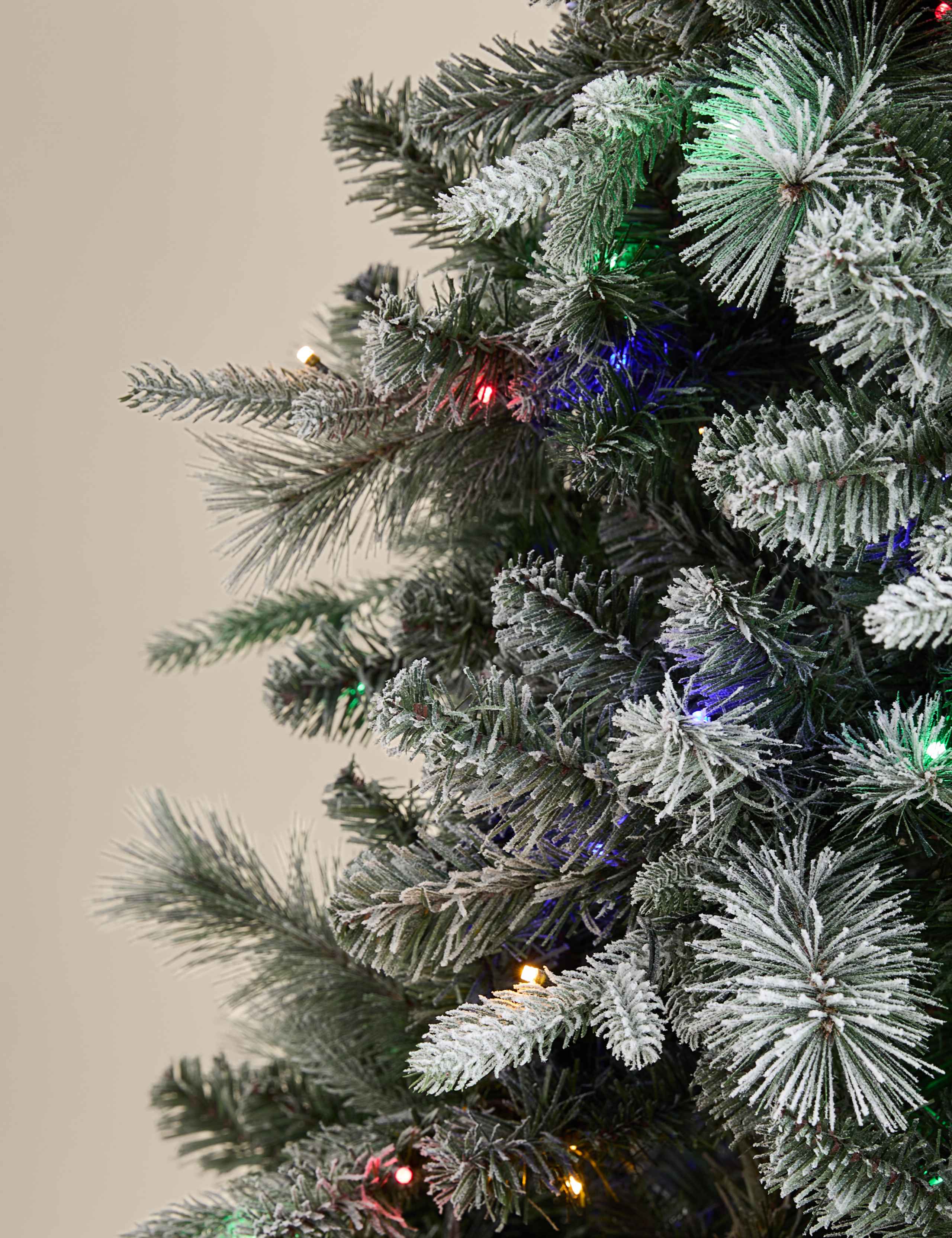 7ft Pre-Lit Snowy Monterey and Scots Pine Christmas Tree 3 of 5
