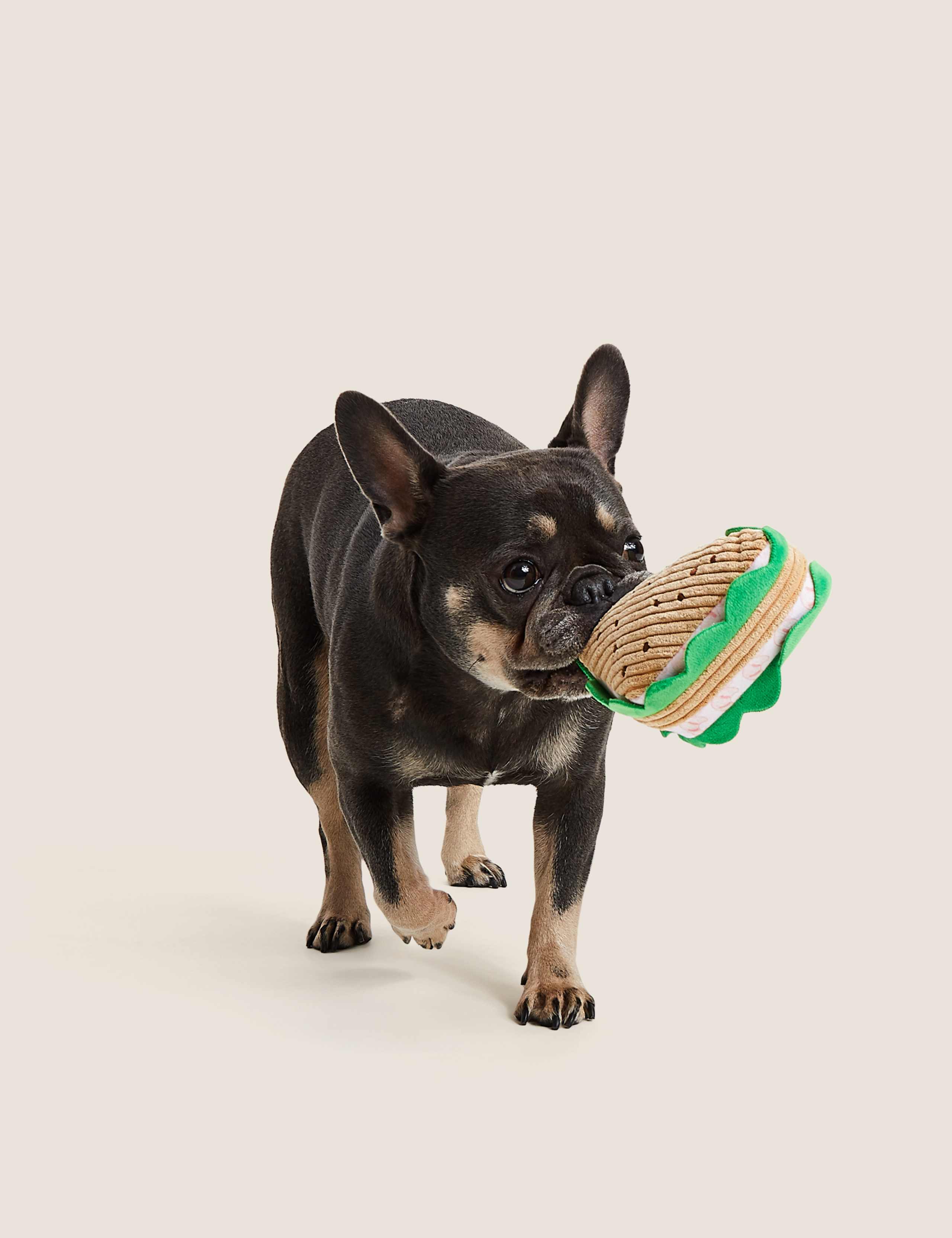 Squeaky Pet Toy Sandwich 1 of 5