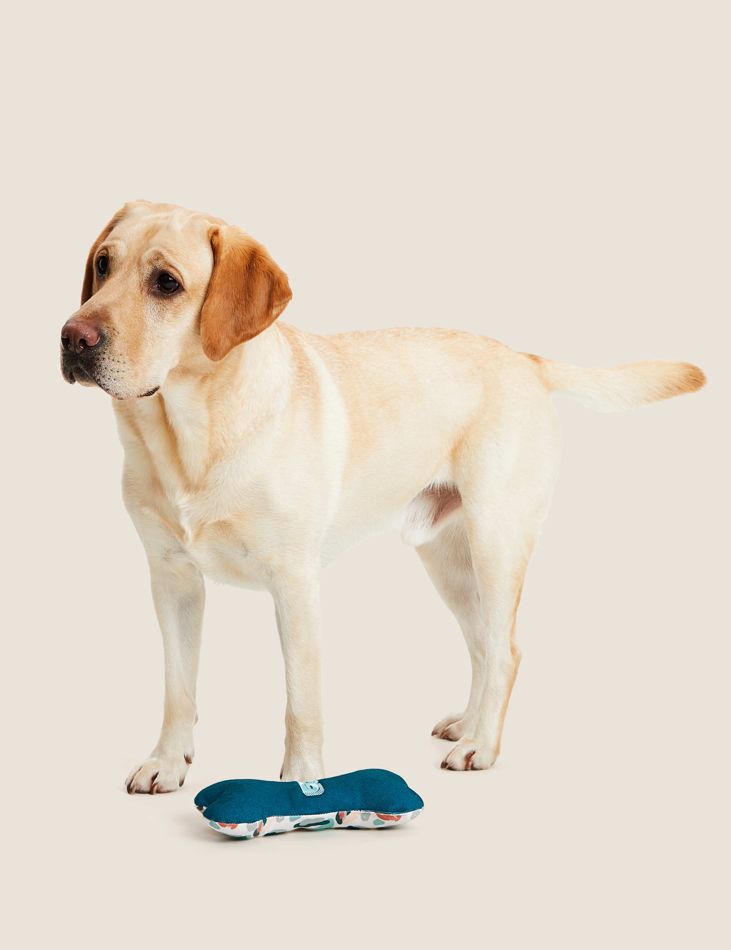 Squeaky Alphabet Soft Bone Pet Toy 1 of 7