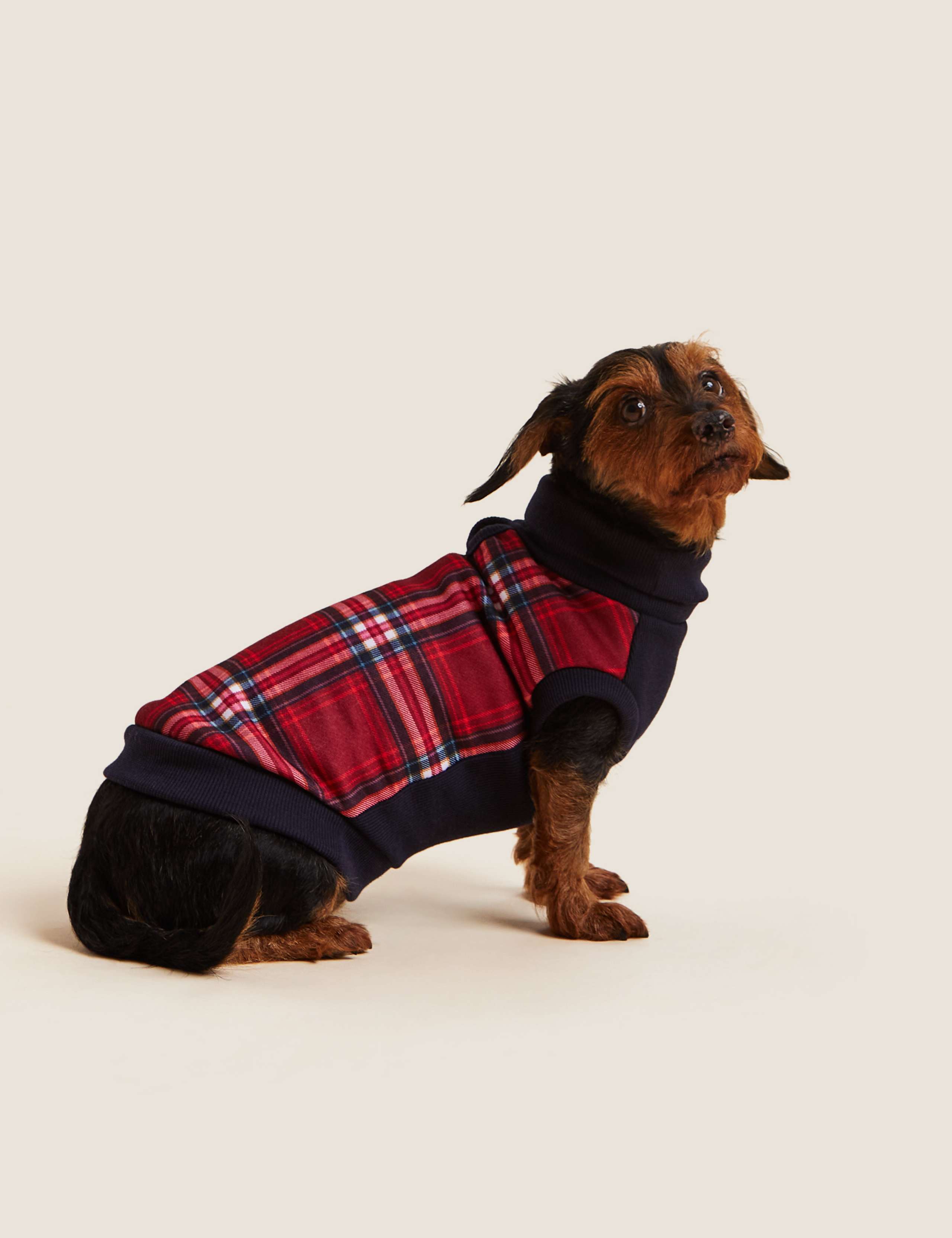 Check Dog Jumper 1 of 5