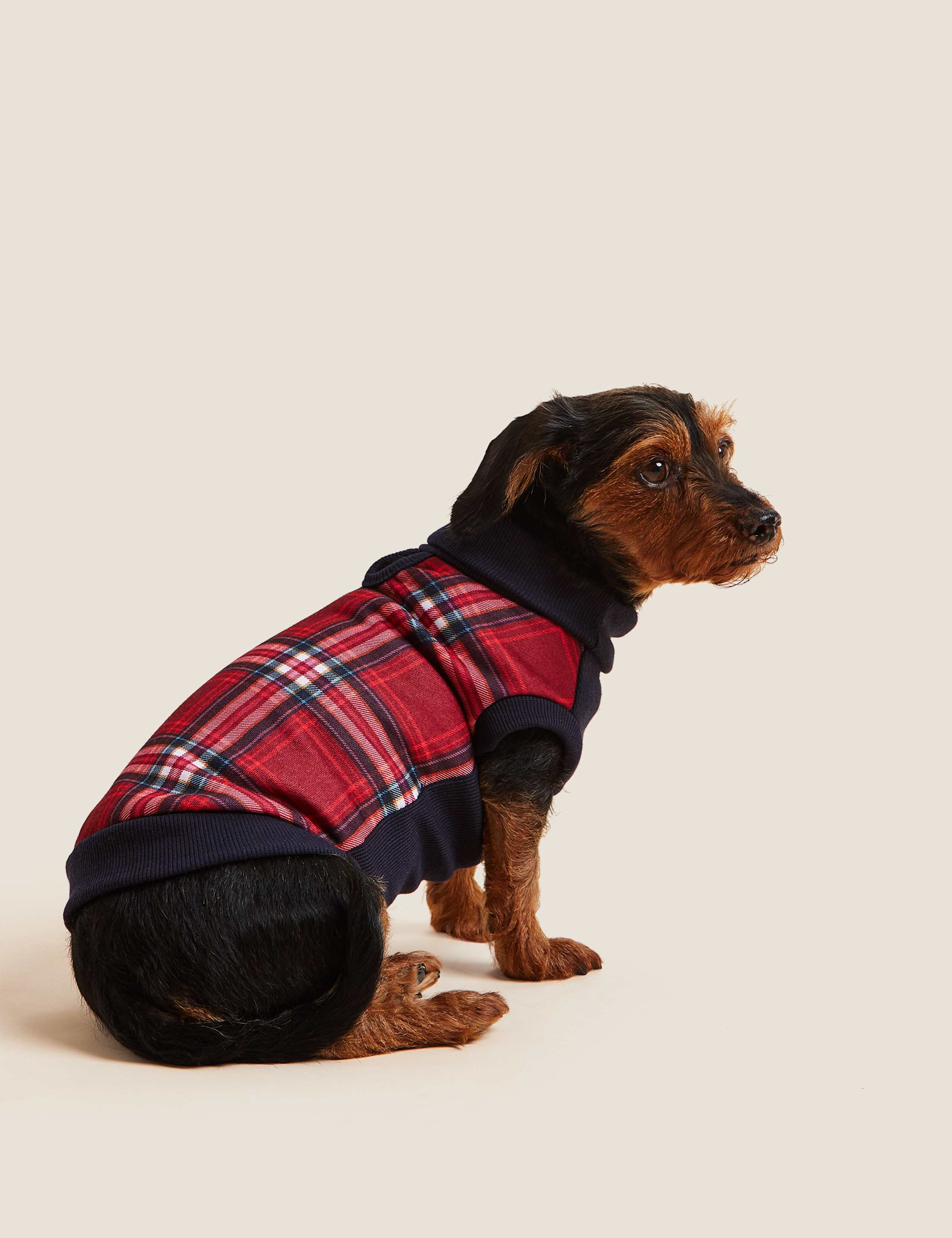 Check Dog Jumper 4 of 5