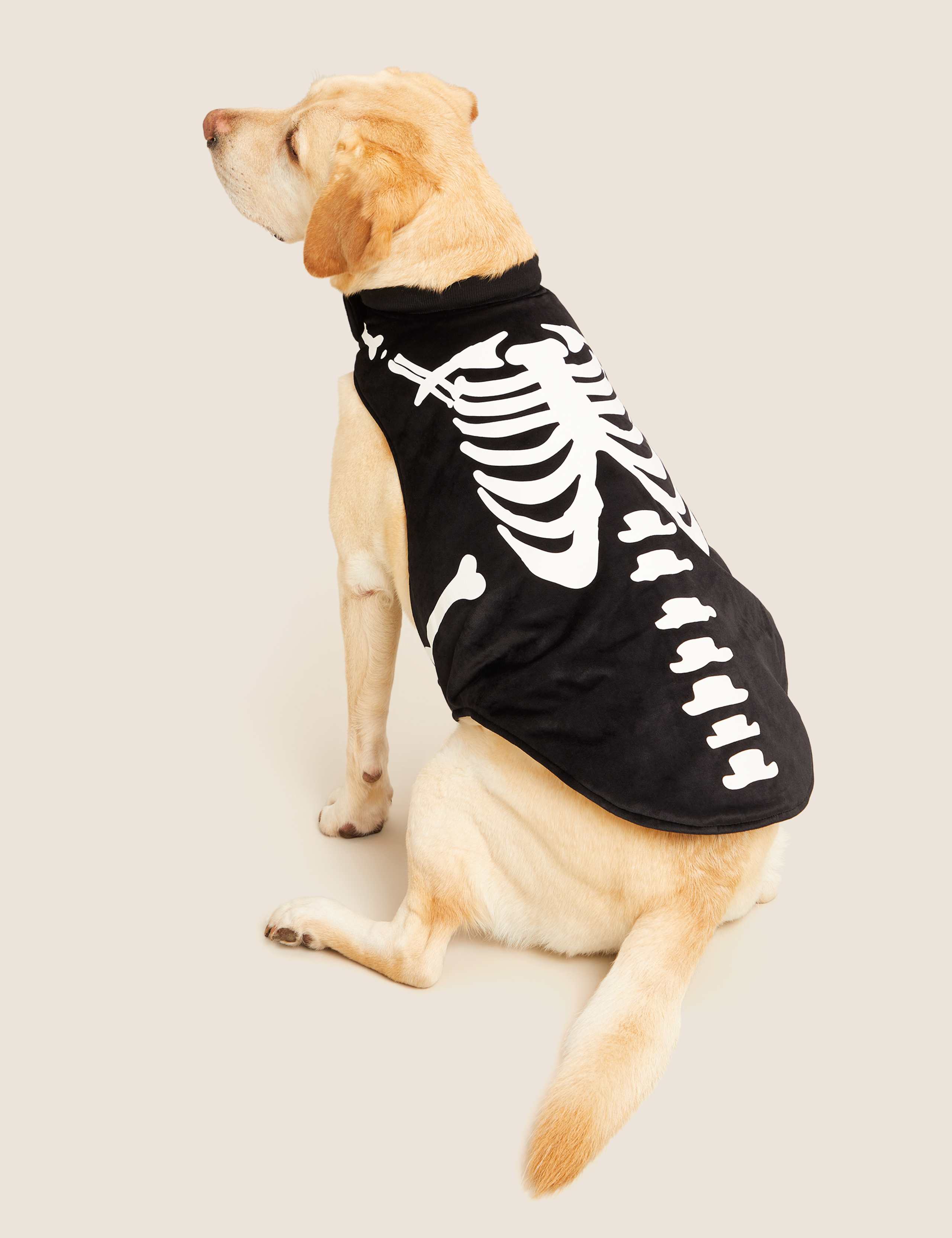Halloween Glow In The Dark Jumper For Pets 6 of 6