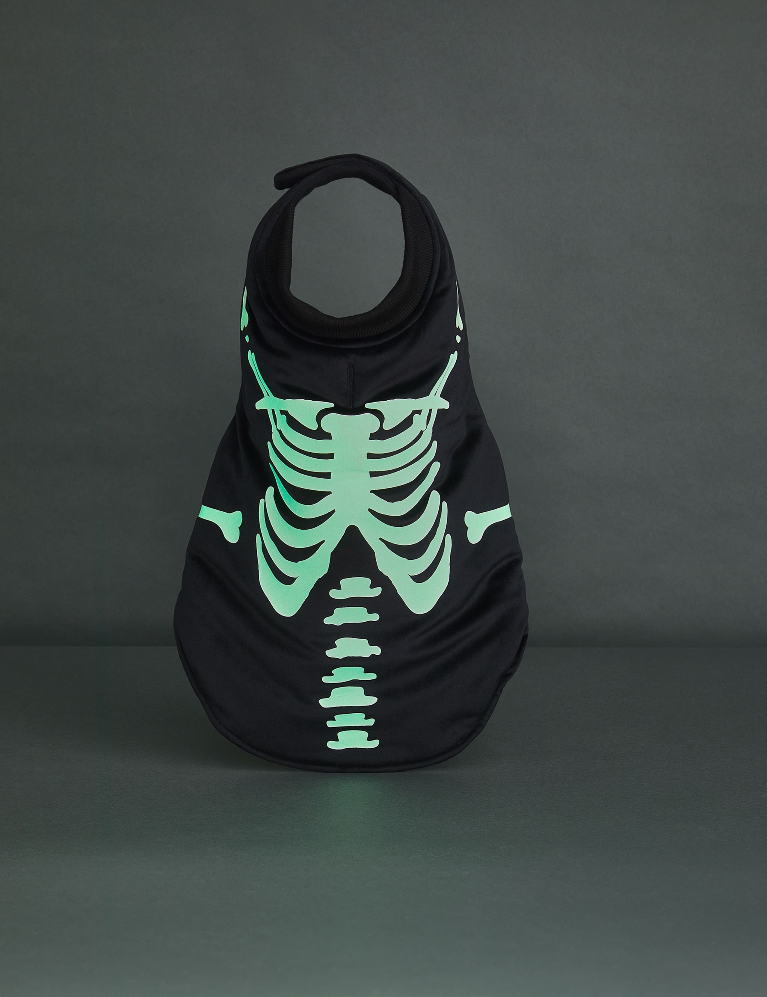 Halloween Glow In The Dark Jumper For Pets 2 of 6