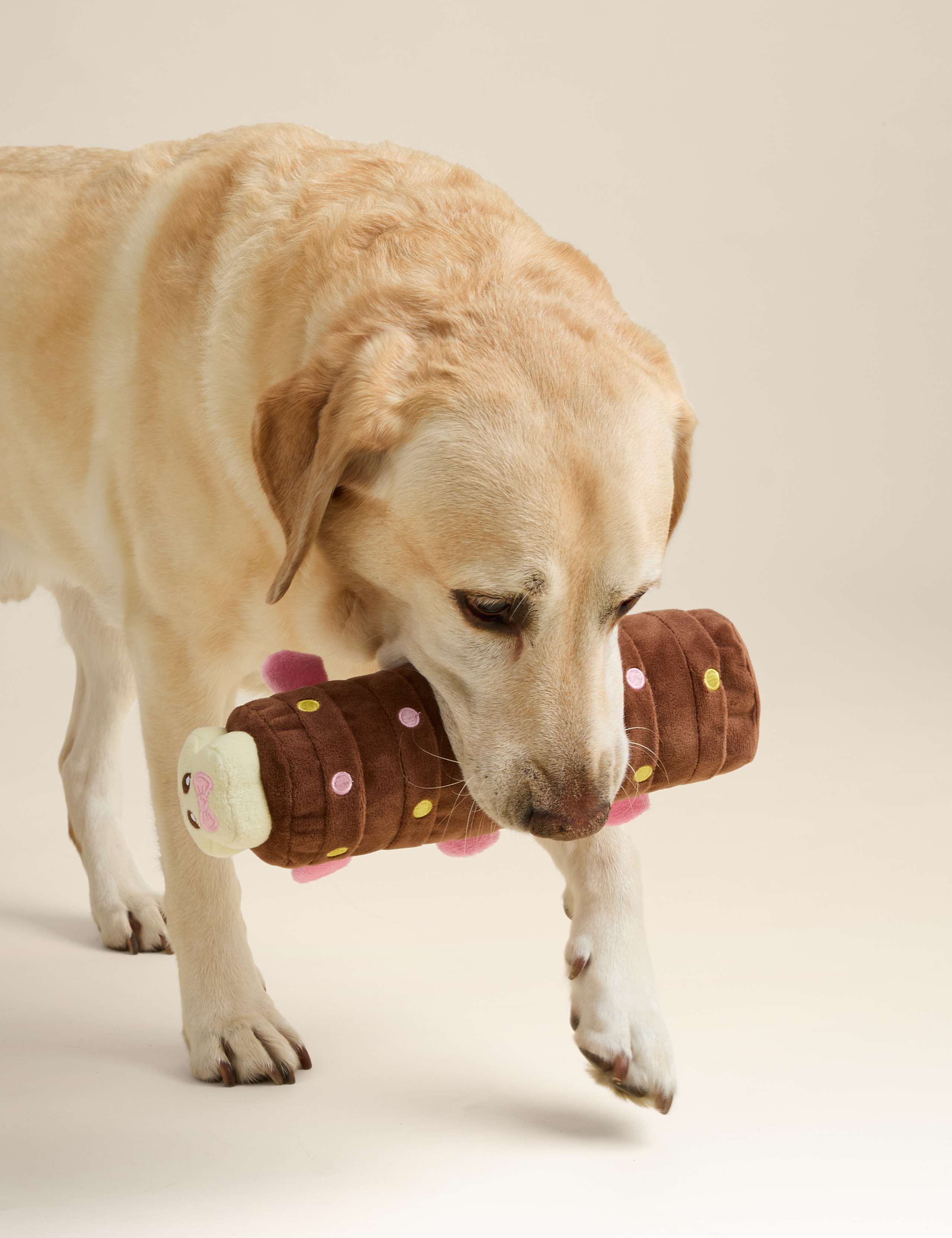 Connie the Caterpillar™ Dog Toy 3 of 5