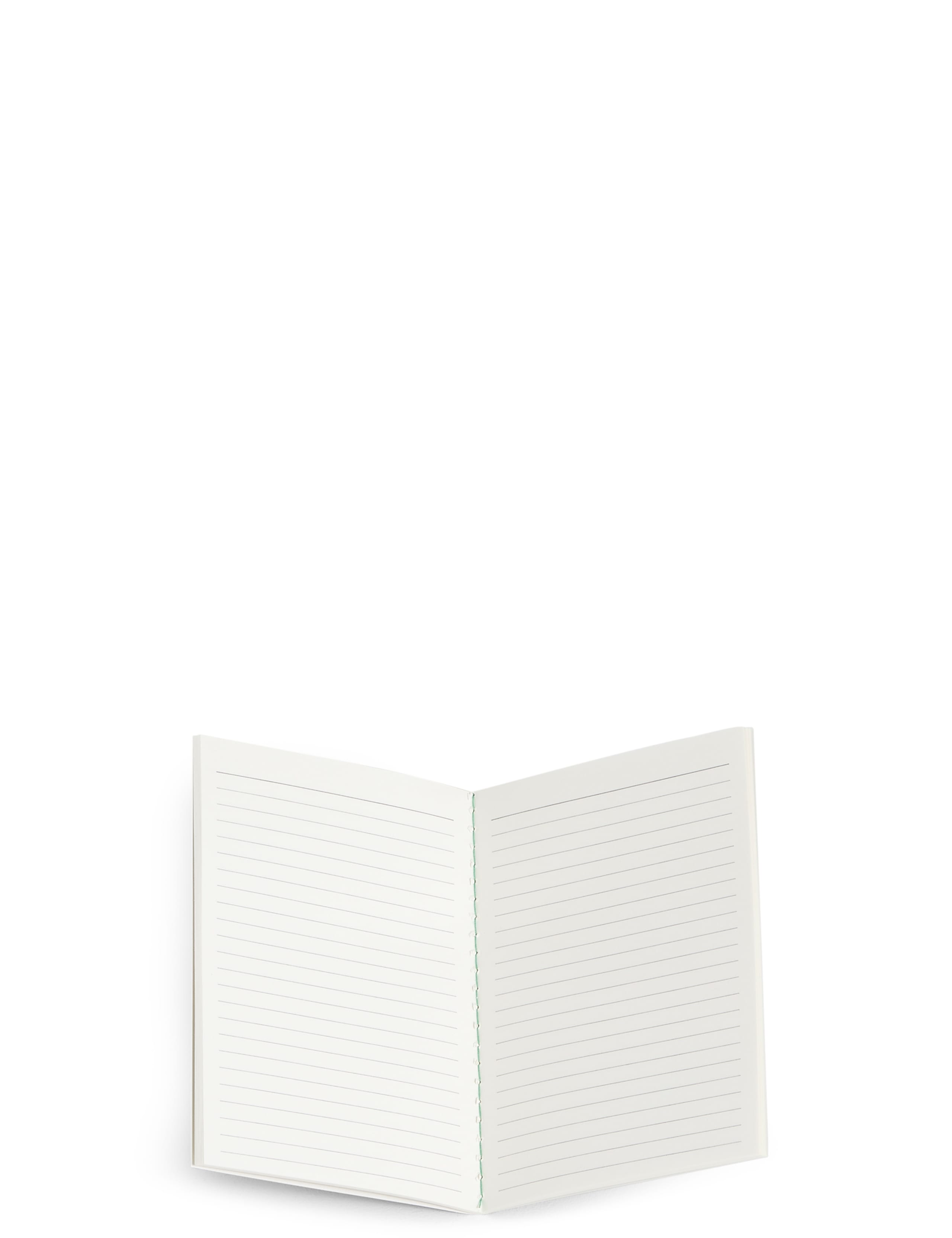 Set of 3 A6 Botanical Print Notebooks 3 of 5