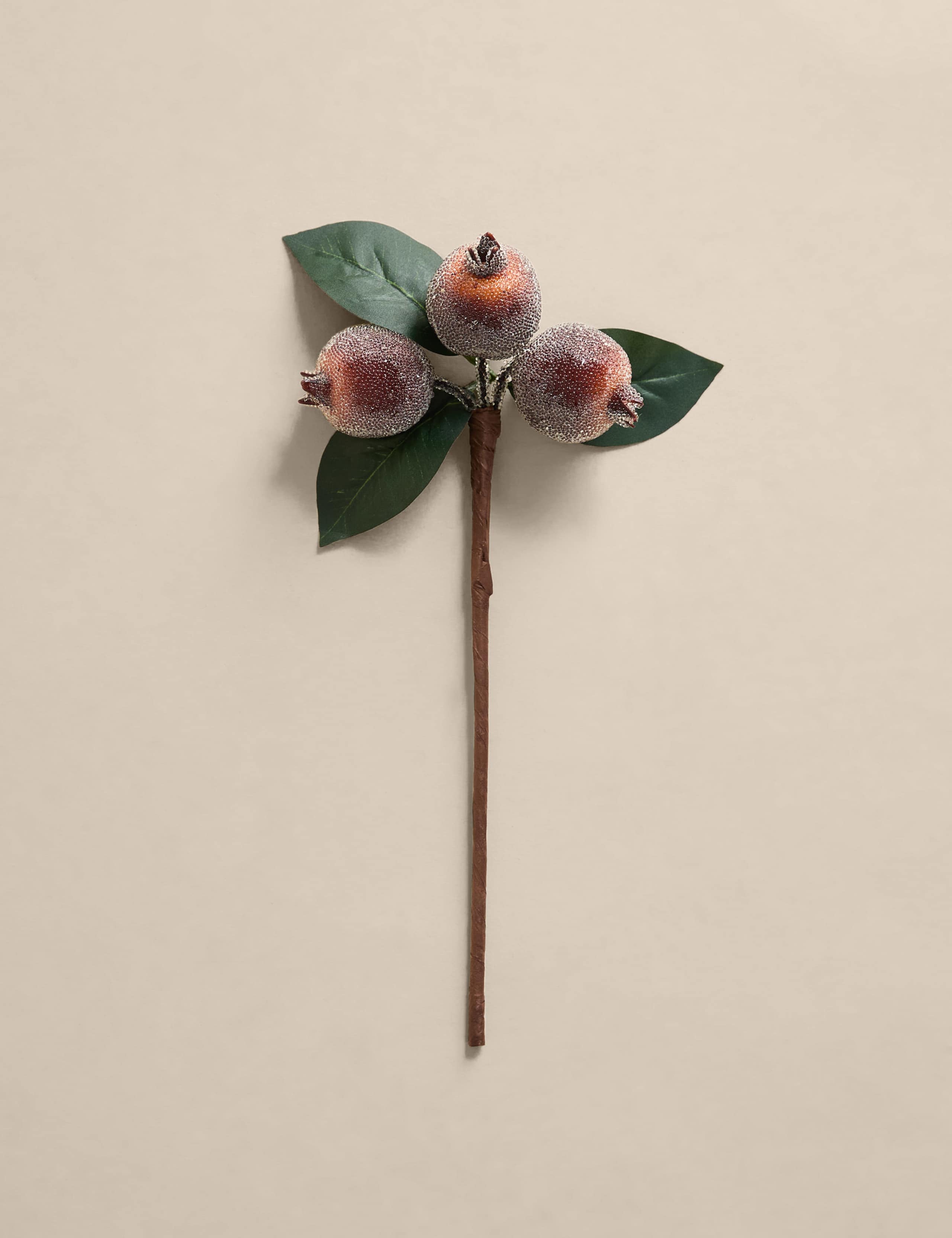 2pk Rose Hip Tree Picks 4 of 4