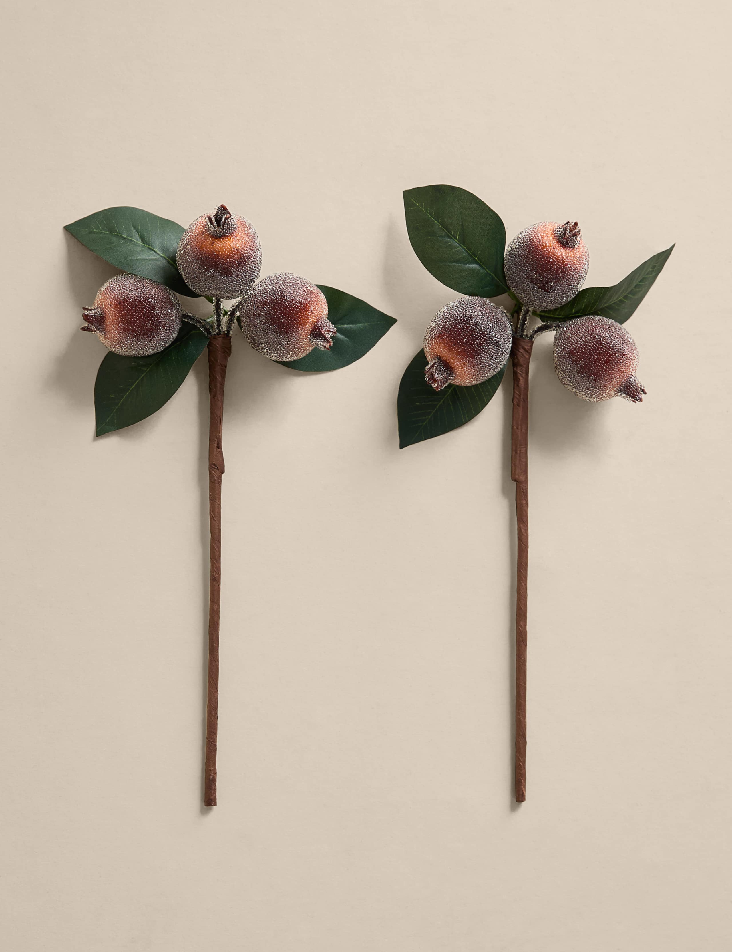 2pk Rose Hip Tree Picks 2 of 4