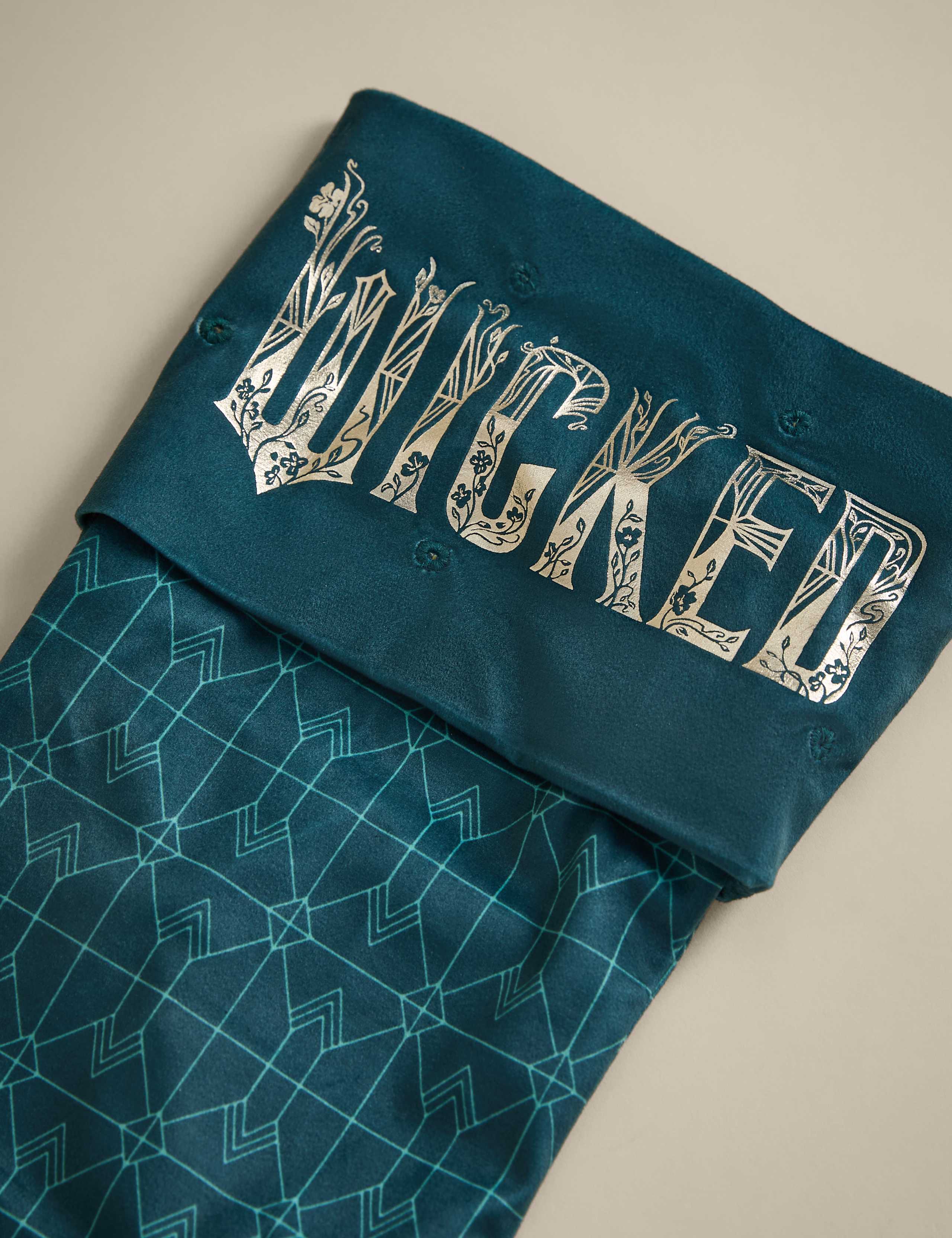 Wicked™ Light Up Stocking 3 of 4