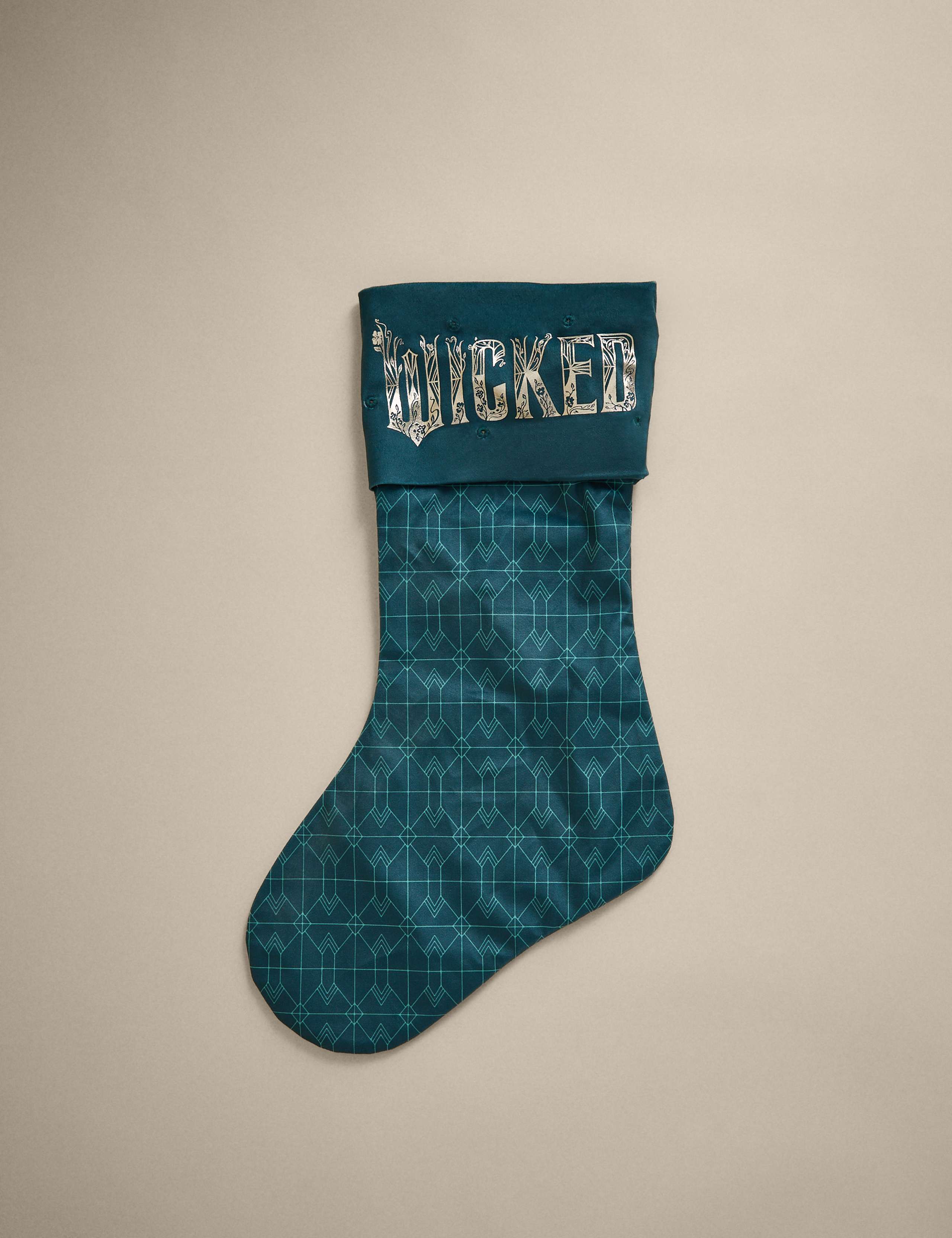 Wicked™ Light Up Stocking 2 of 4