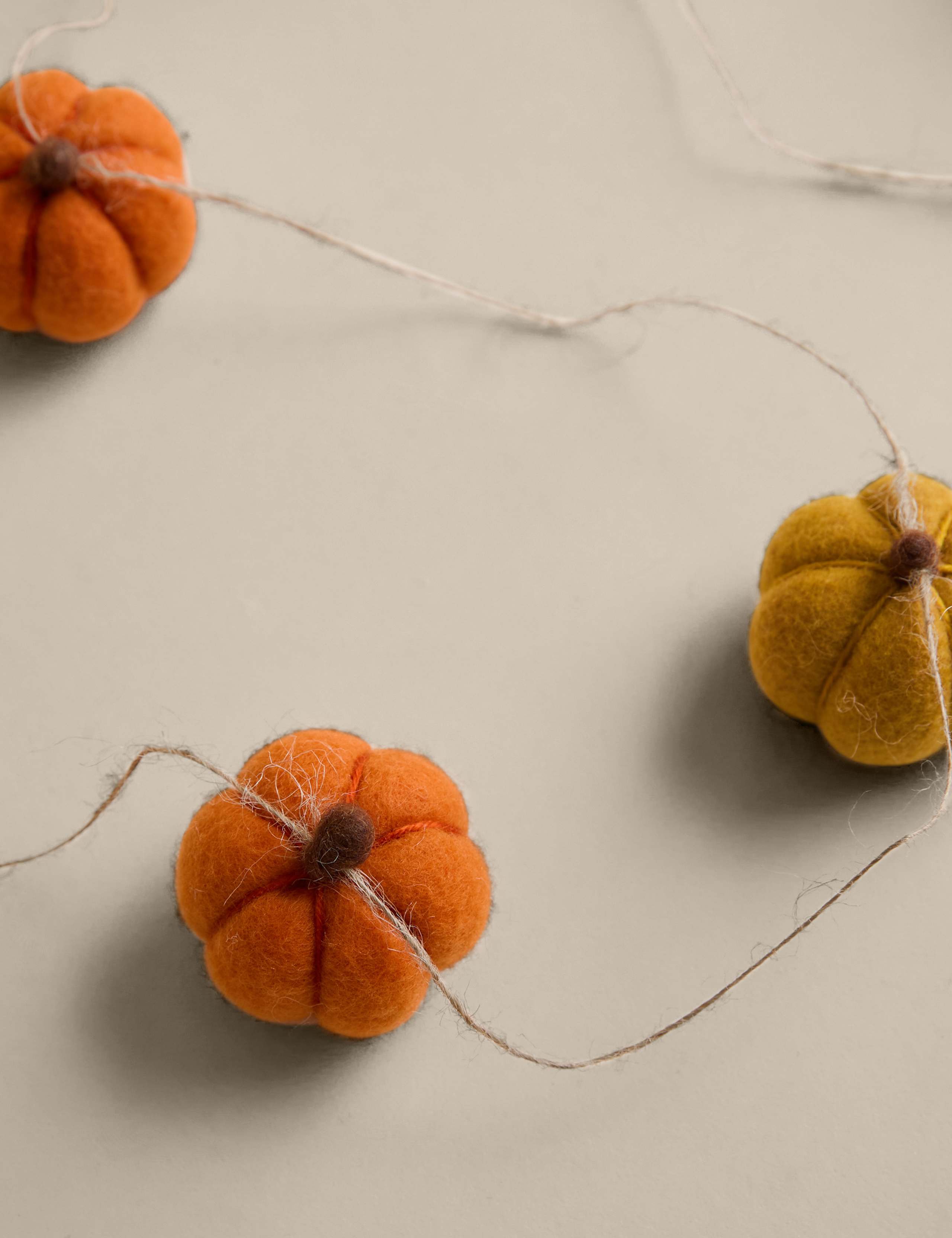 Autumnal Felt Pumpkin Garland 2 of 3