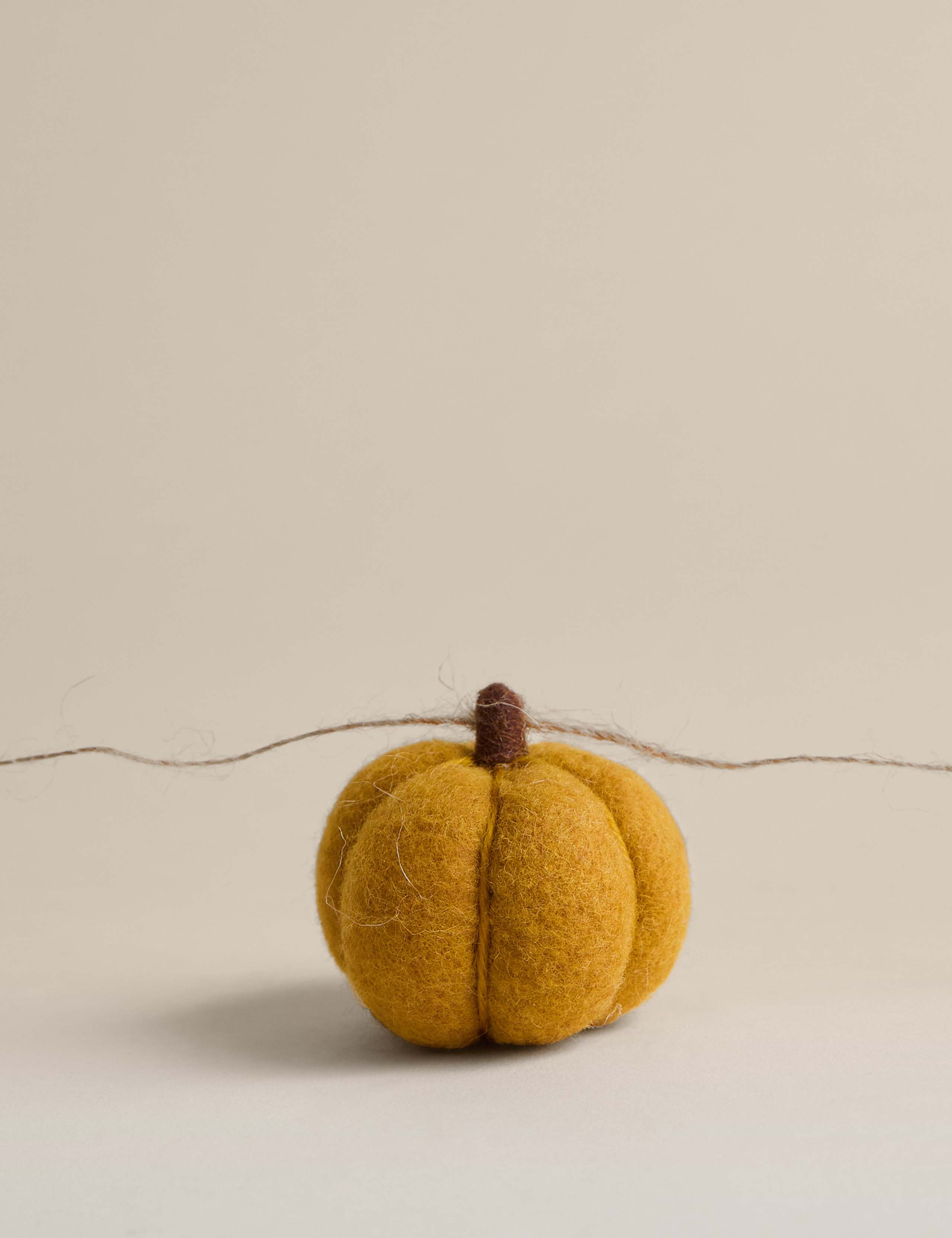 Autumnal Felt Pumpkin Garland 3 of 3