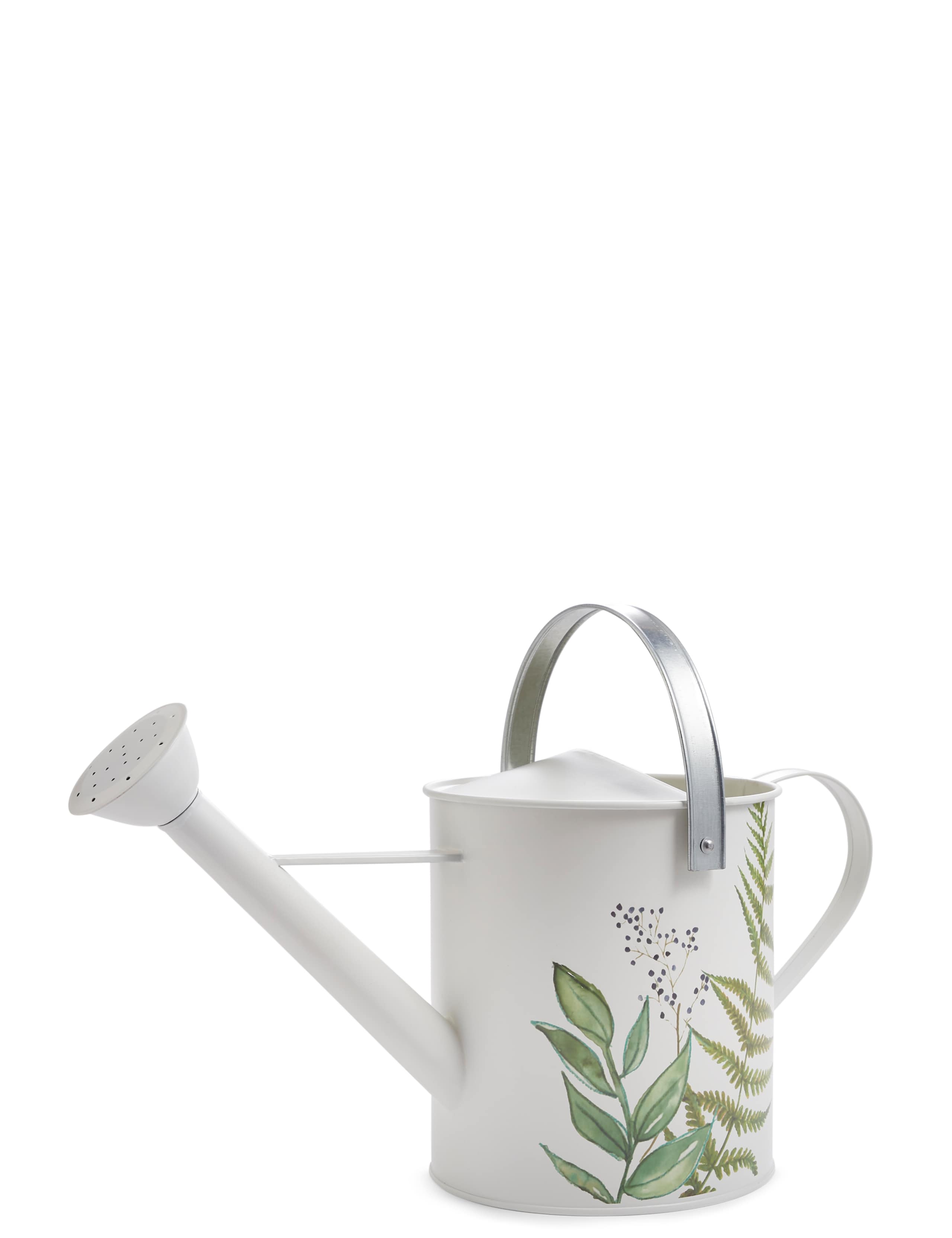 Watering Can 1 of 2