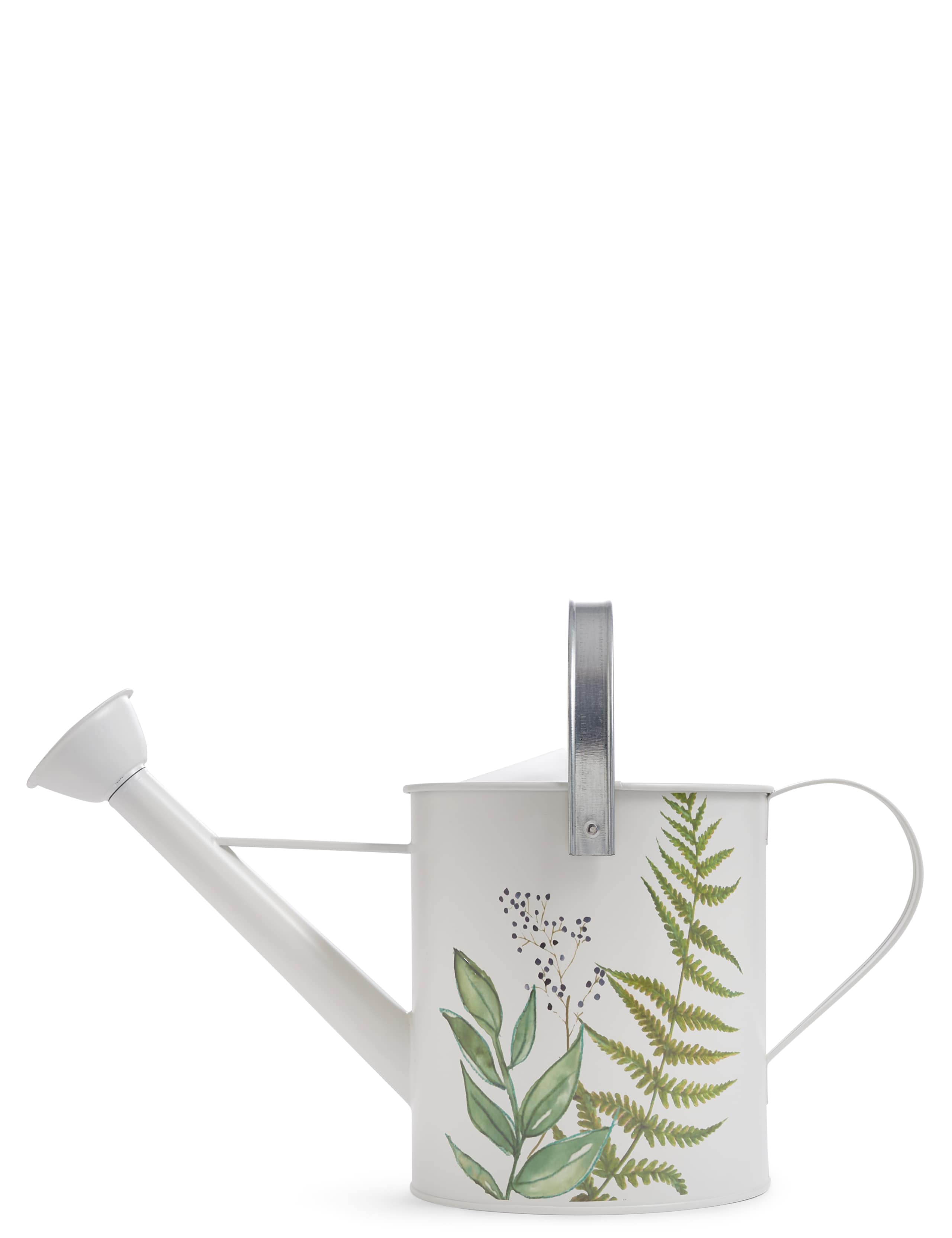 Watering Can 2 of 2
