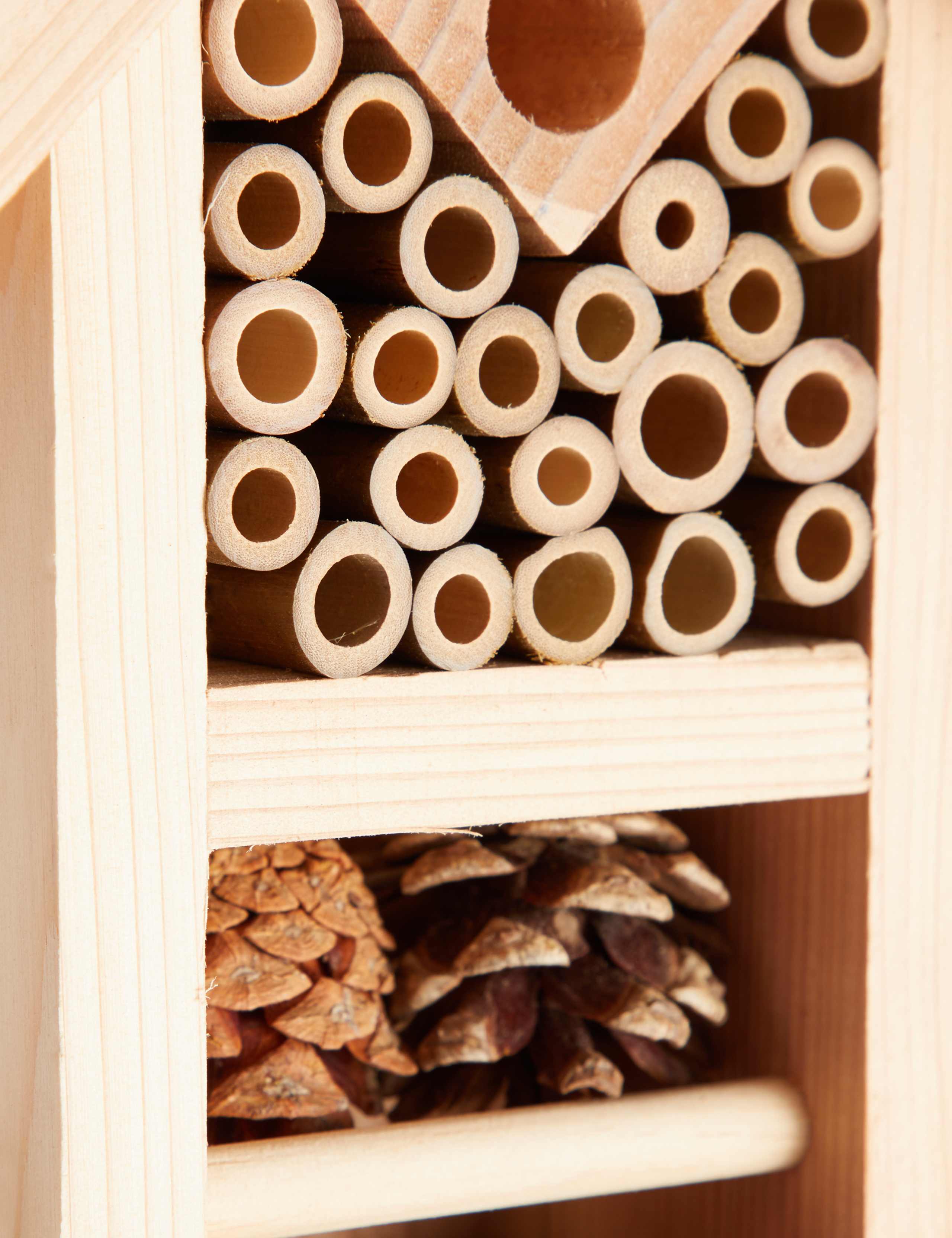 Bug & Bee House 3 of 3