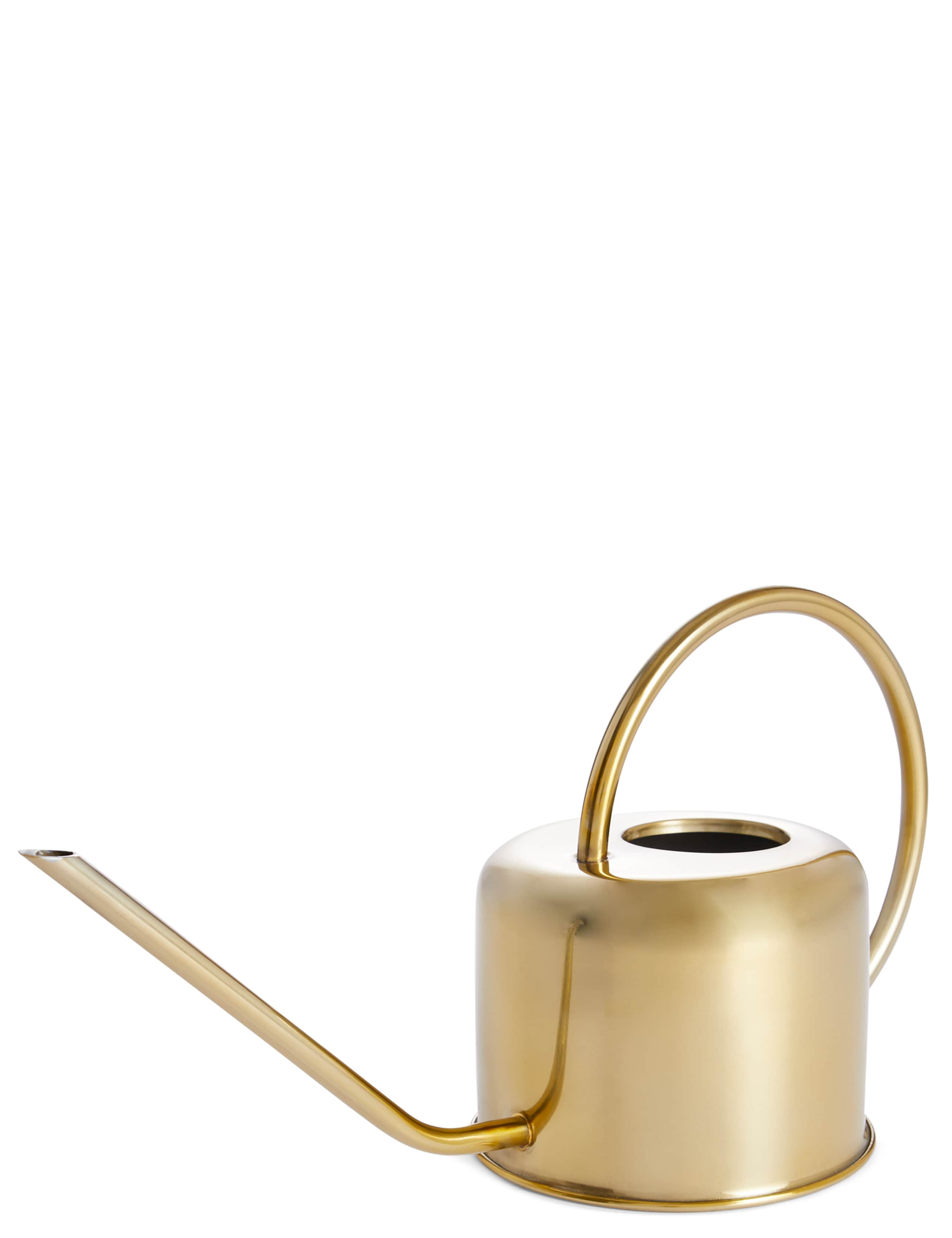 Gold 1 Litre Watering Can 1 of 2