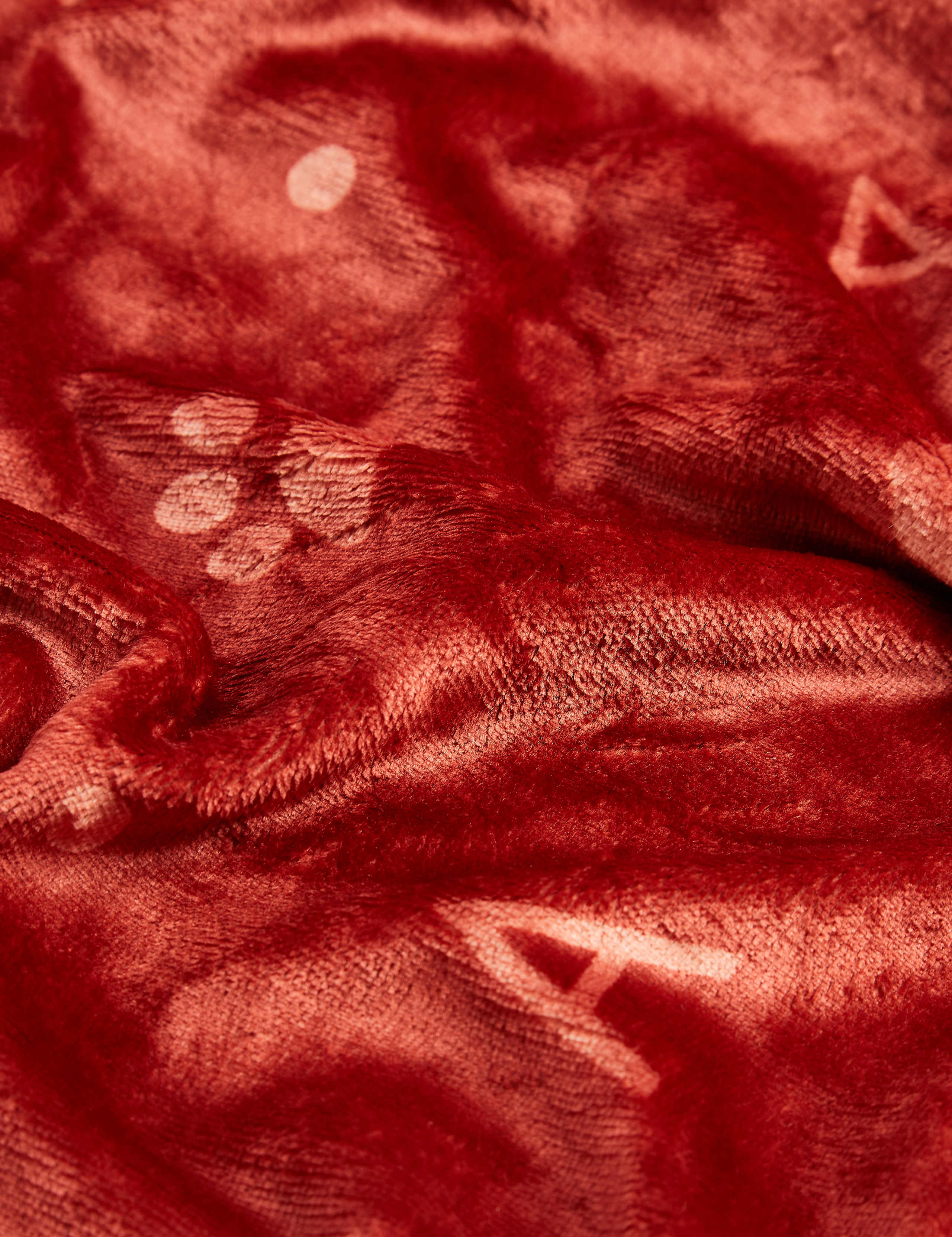 Alphabet Pet Blanket 3 of 3