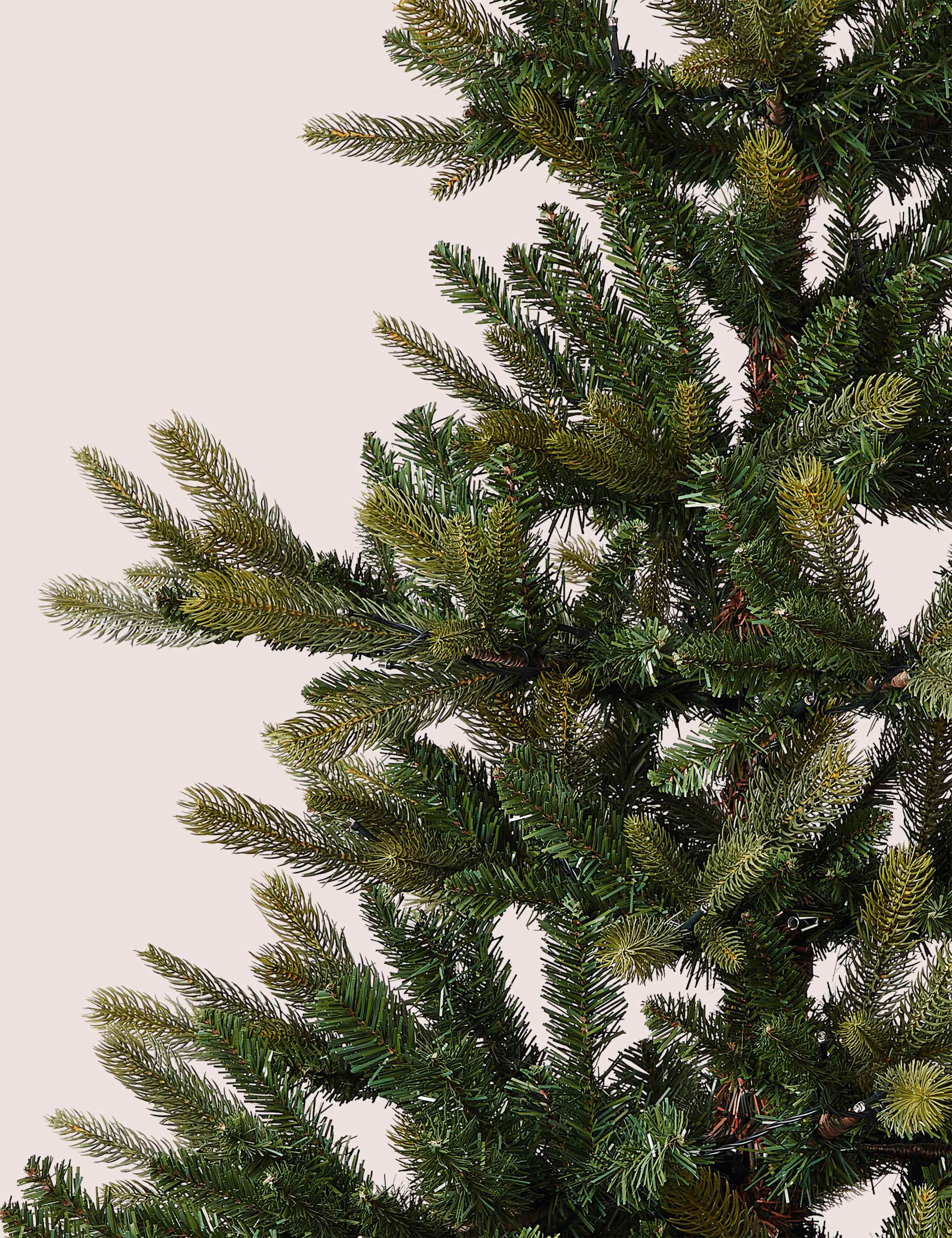 6ft Lit Noble Christmas Tree 5 of 7