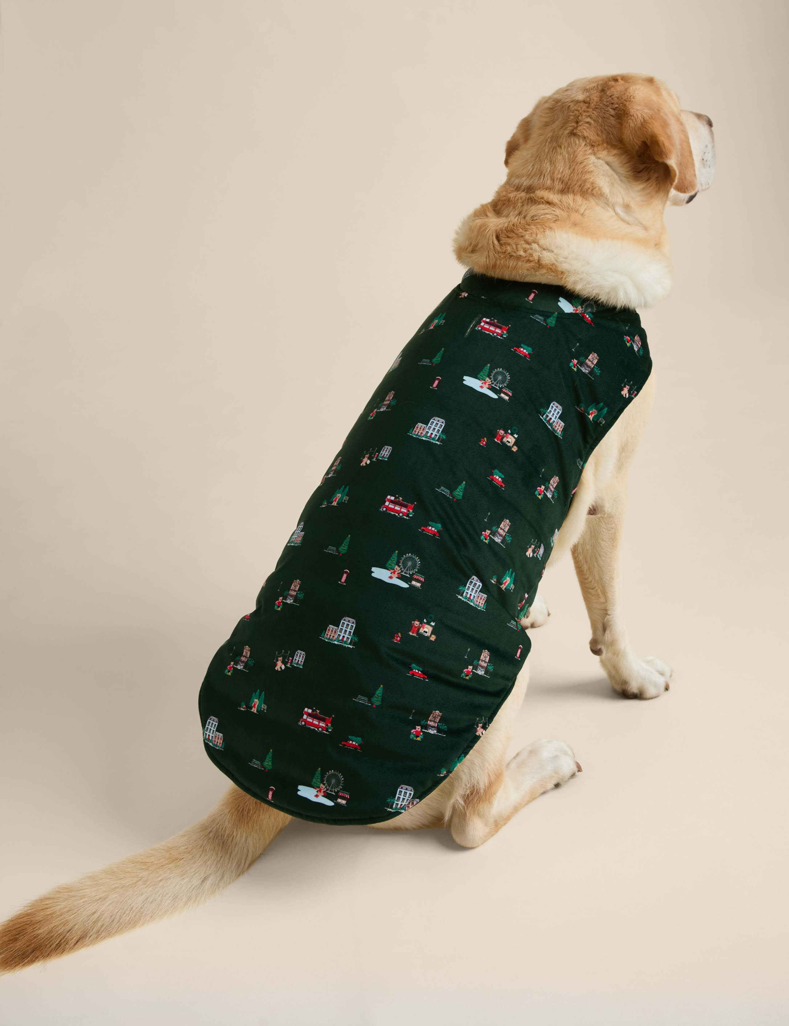 Spencer Bear™ Pet Jumper 5 of 6