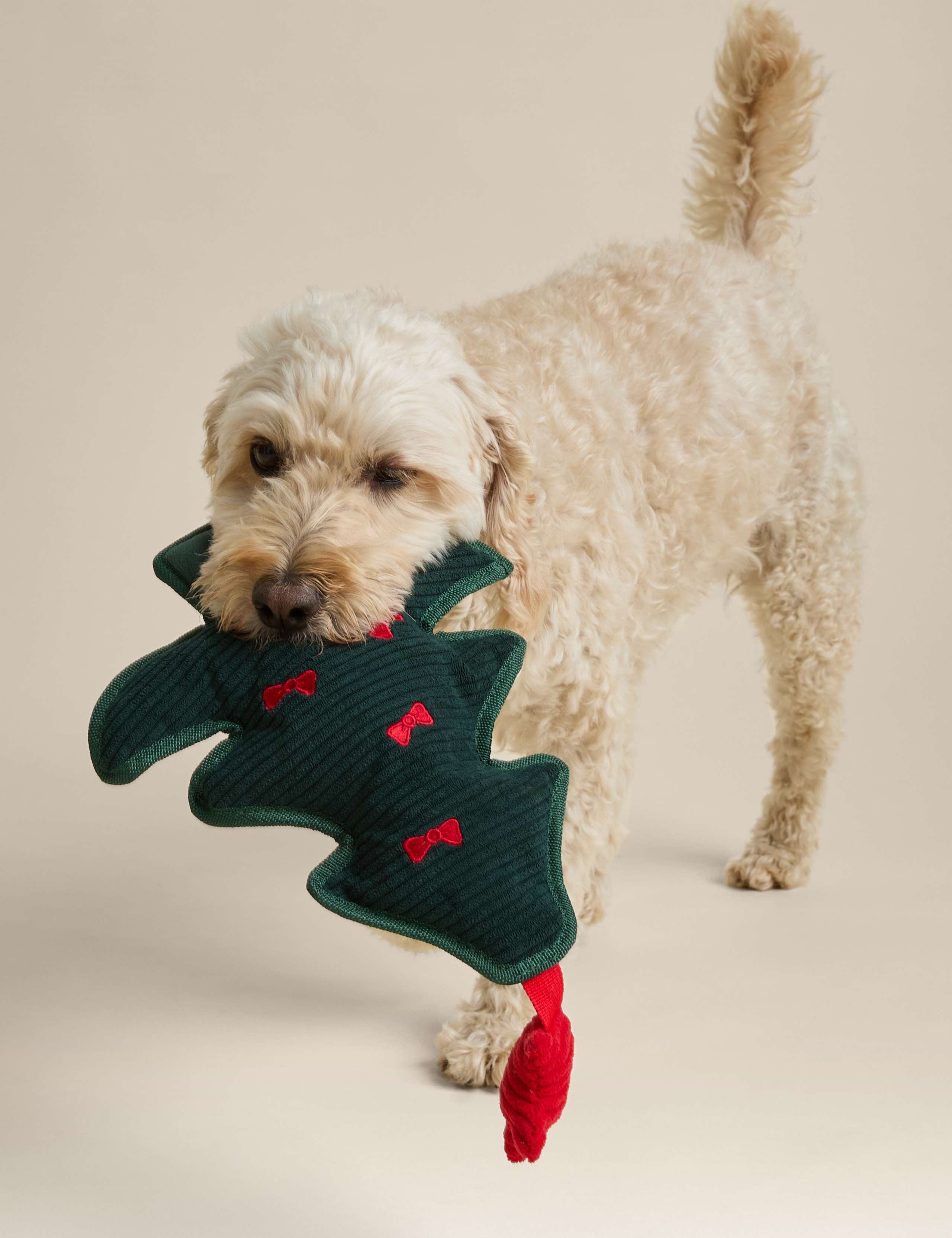 Christmas Tree Dog Toy 3 of 4