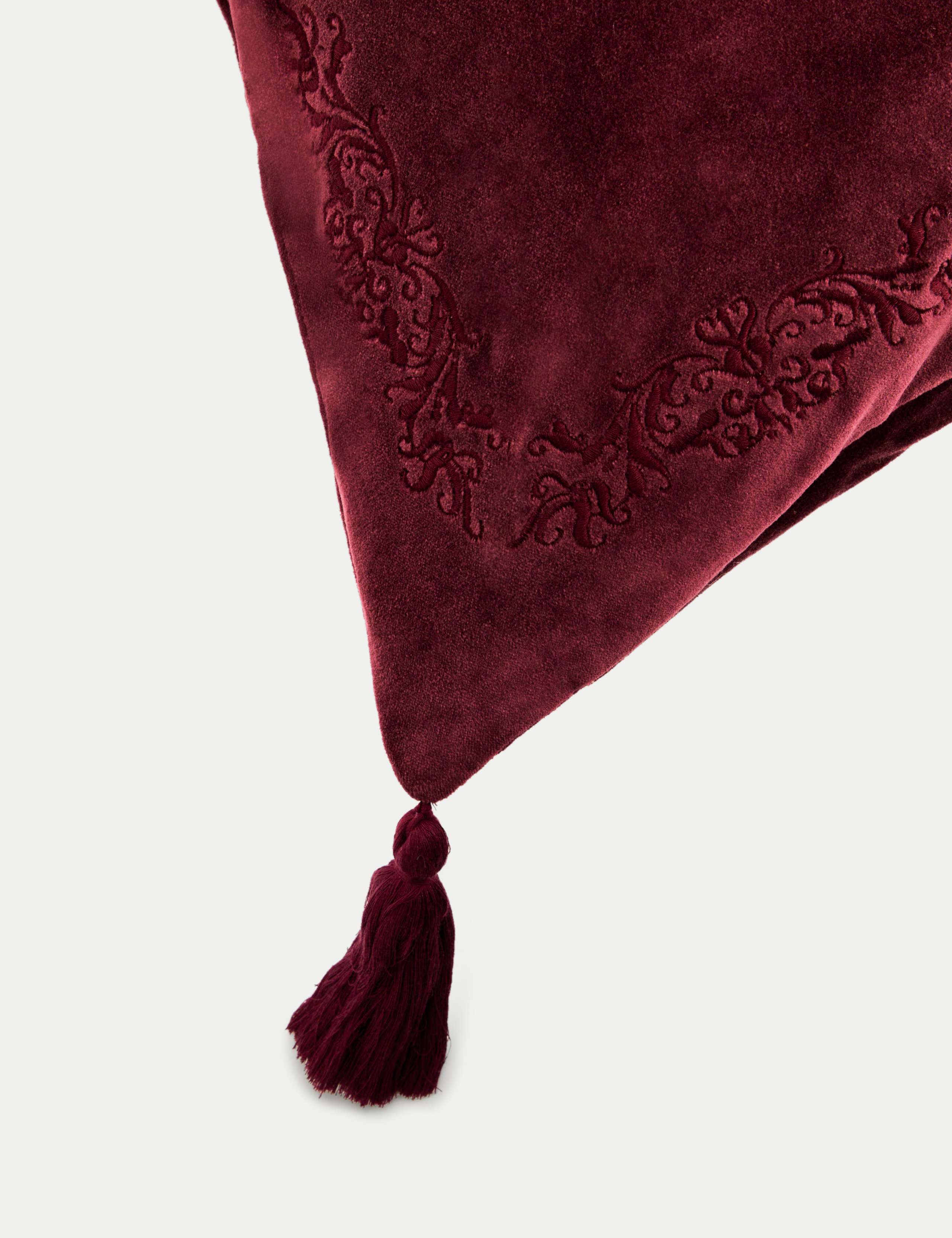 Velvet Tasselled Cushion 4 of 4