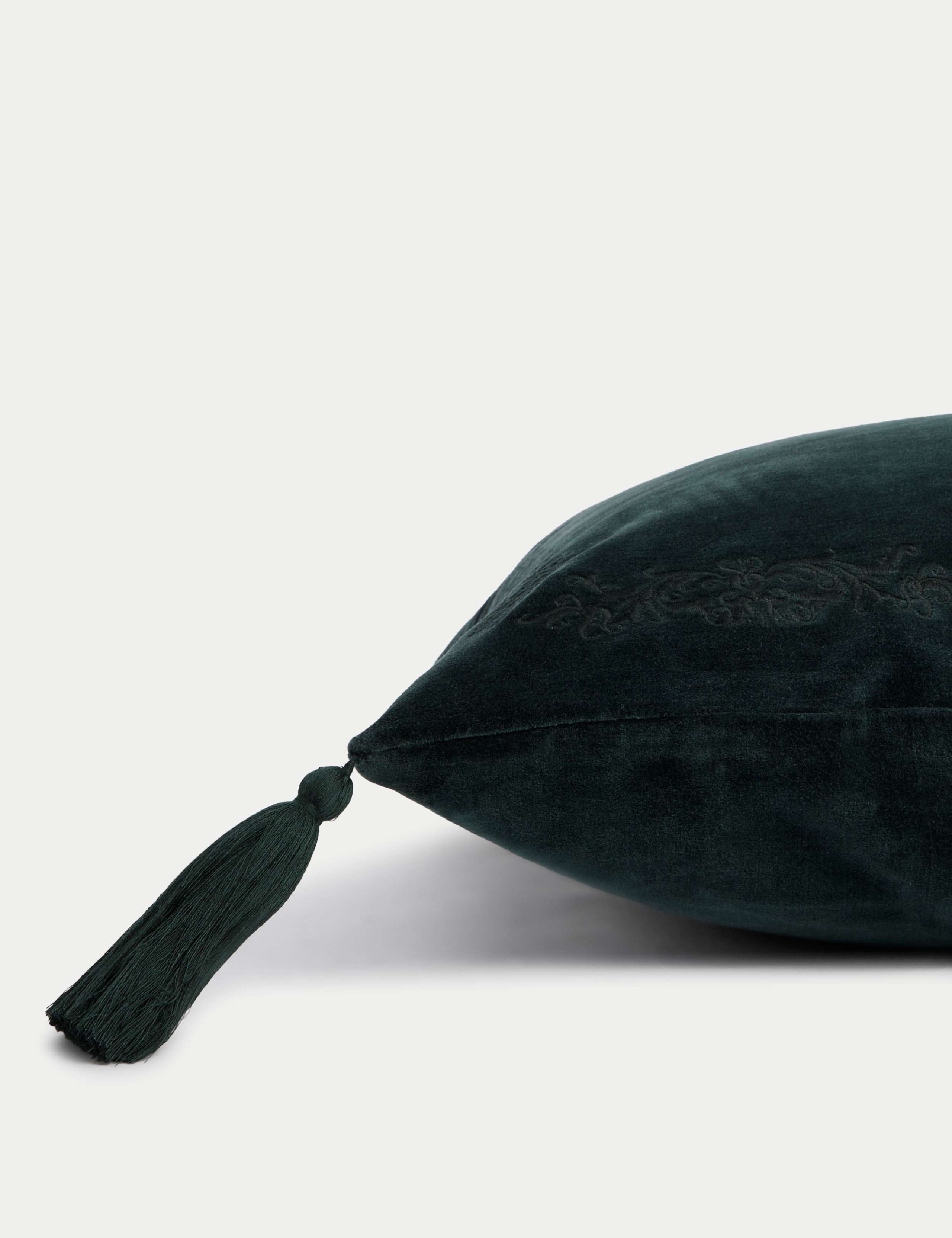 Velvet Tasselled Cushion 3 of 4