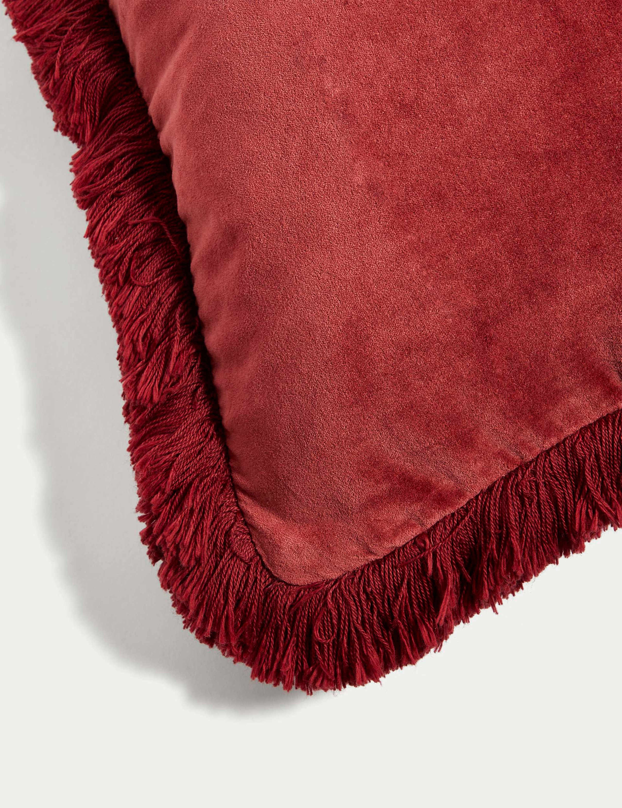 Pure Cotton Velvet Fringed Cushion 3 of 4