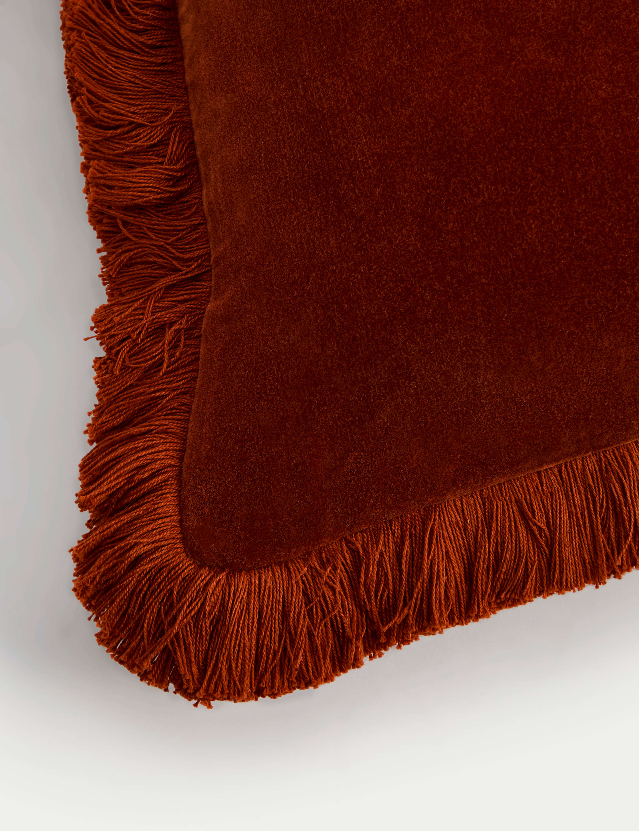 Pure Cotton Velvet Fringed Cushion 3 of 5