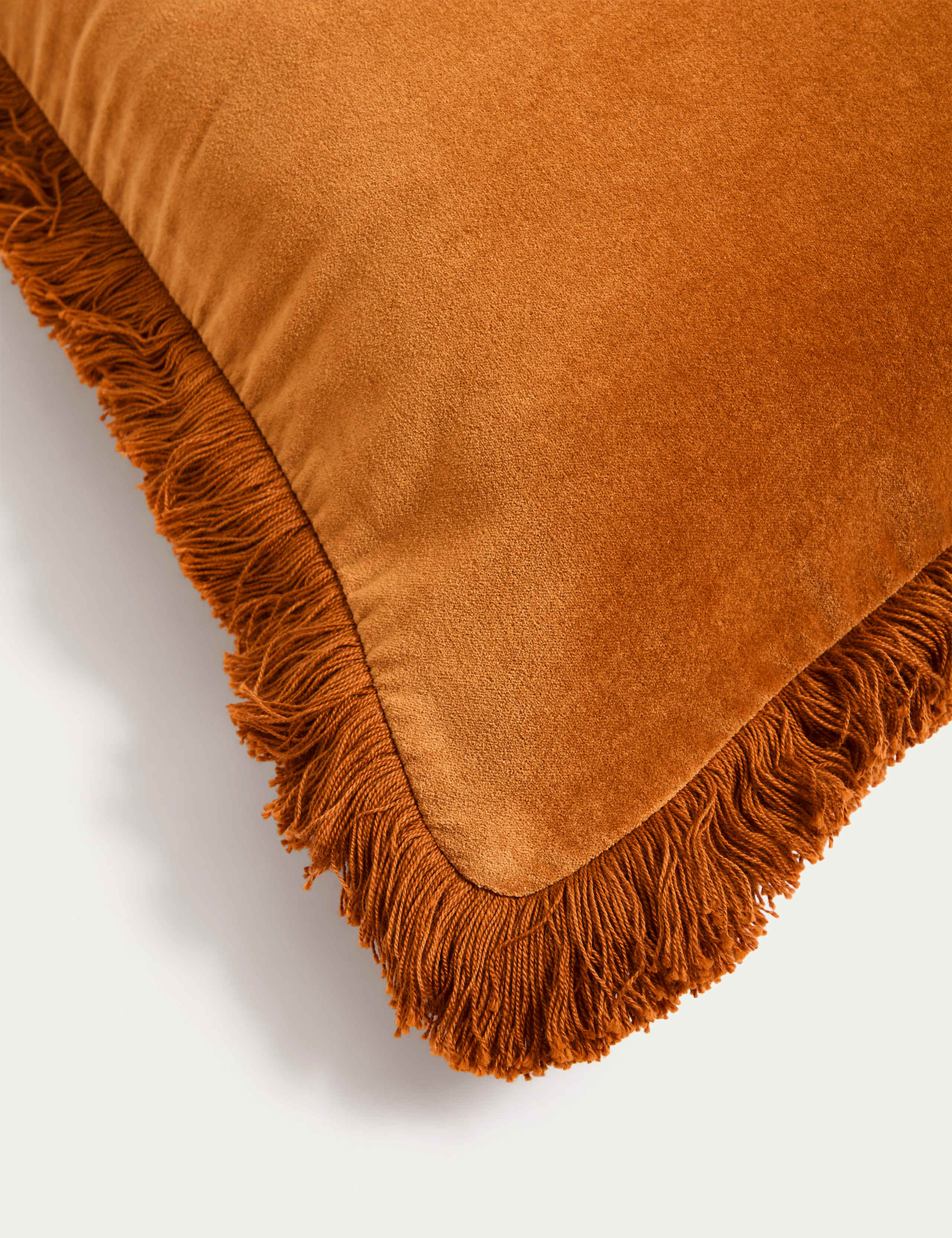 Pure Cotton Velvet Fringed Cushion 3 of 4