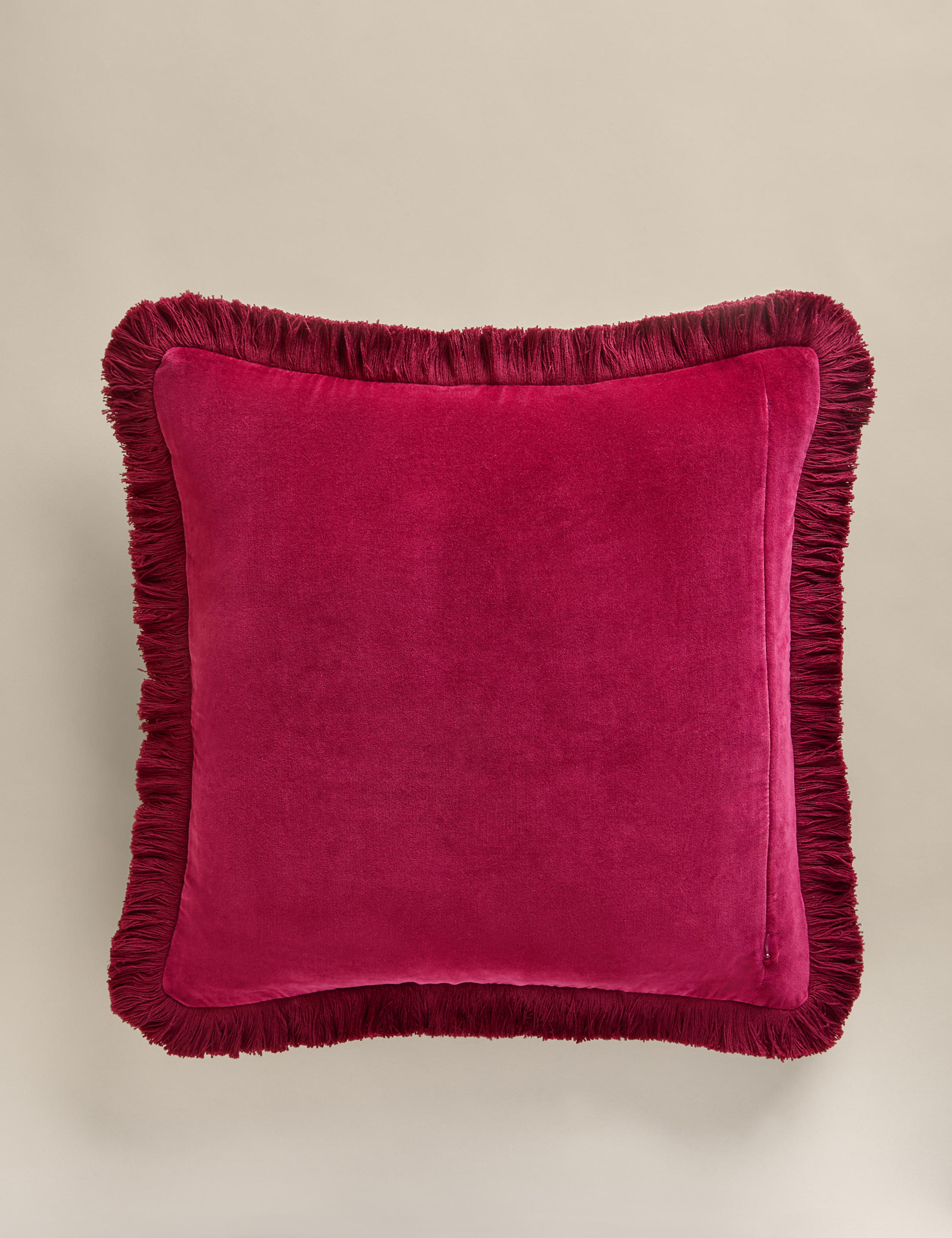 Pure Cotton Striped Fringed Cushion 3 of 4